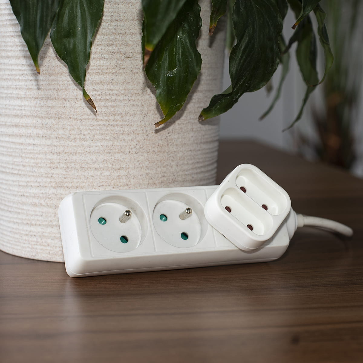 Biała listwa zasilająca i podwójny adapter leżą na drewnianej powierzchni, z roślinami o zielonych liściach w tle.