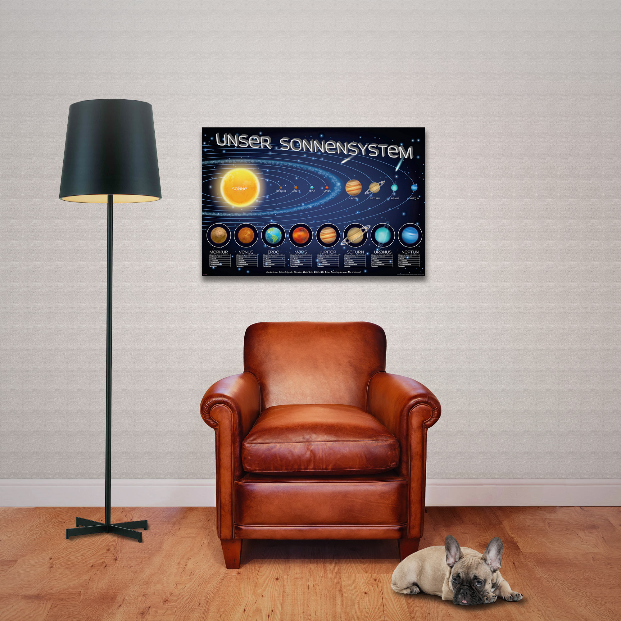 Ein Wohnzimmer mit einem Sonnensystem-Poster, einem Stuhl, einer Lampe und einem Hund auf dem Boden.