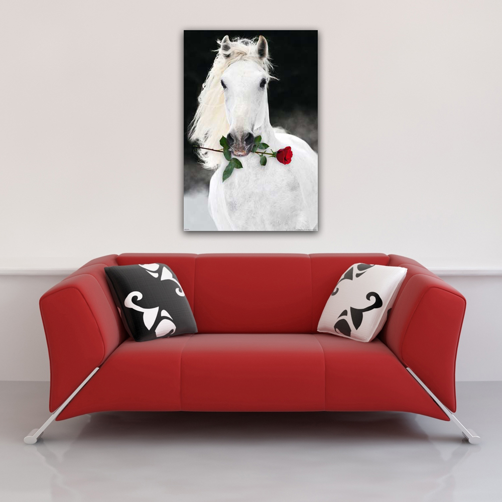 Ein weißes Pferd mit einer roten Rose im Maul steht vor einer Leinwand. Es gibt eine rote Couch und Kissen.