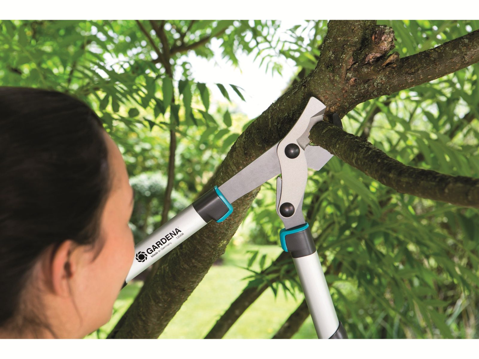 Una persona utilizza cesoie grigie e nere con accenti color teal per tagliare un ramo di un albero.