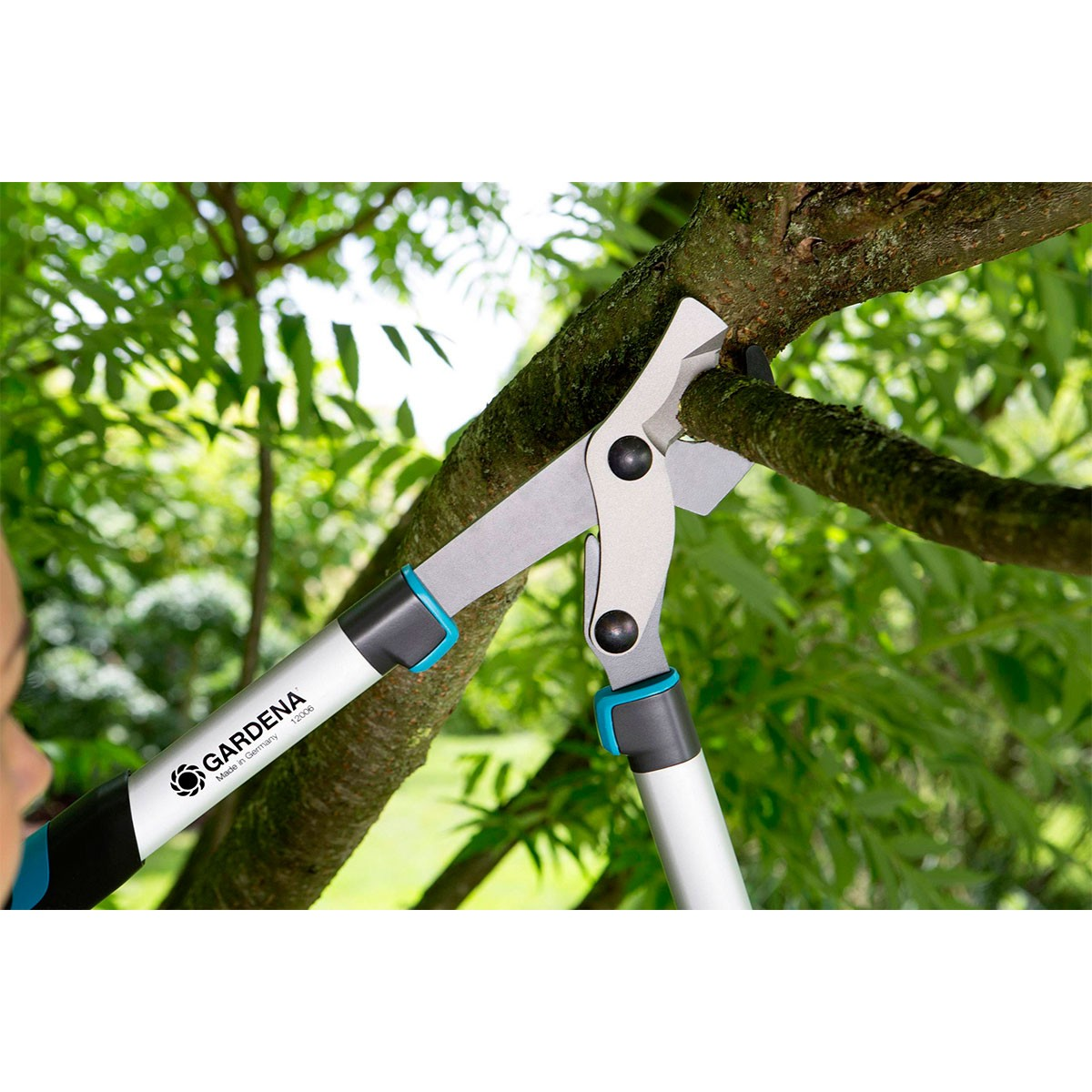 Una persona usa le cesoie per potare un ramo di un albero, con fogliame verde sullo sfondo.