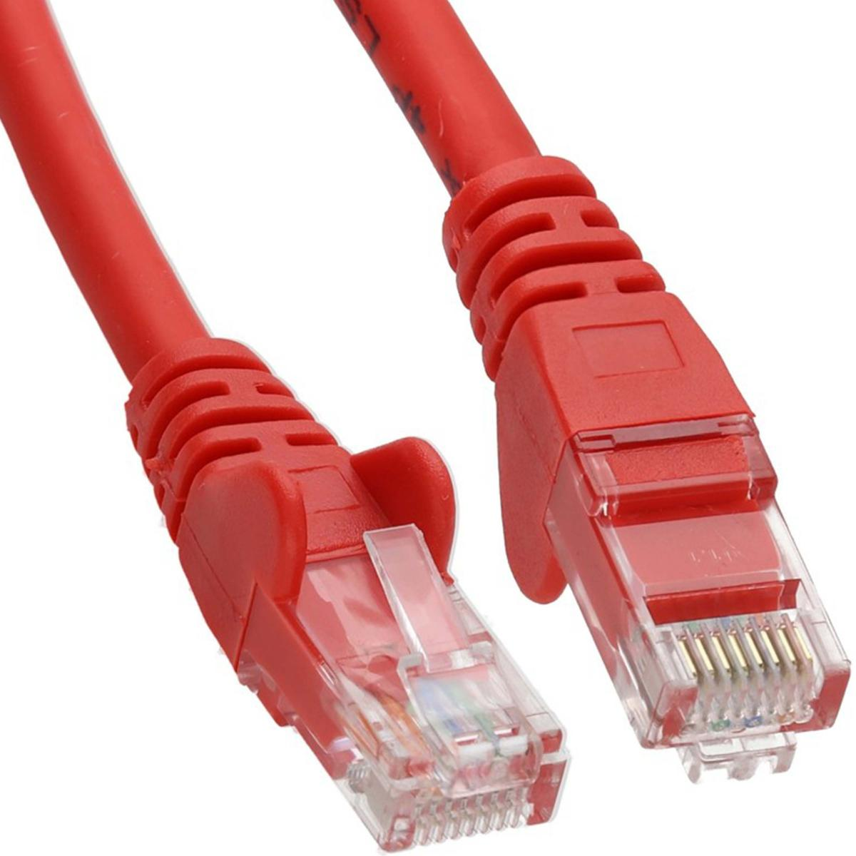 Primo piano di un cavo Ethernet rosso con connettori trasparenti, che mostra il cablaggio interno e il meccanismo di blocco.