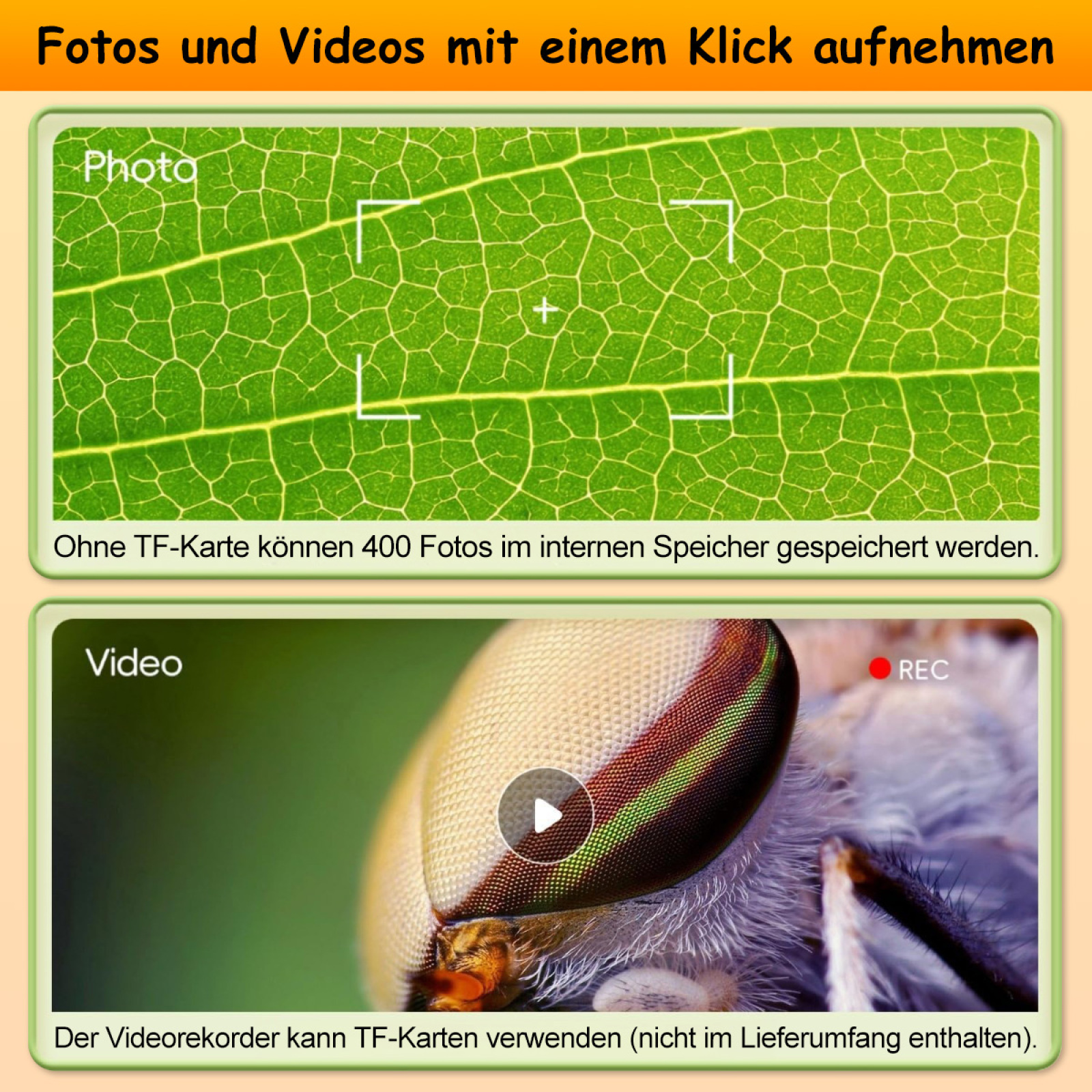 Das Bild zeigt ein Video und ein Foto eines Blattes auf einem weißen Hintergrund.
