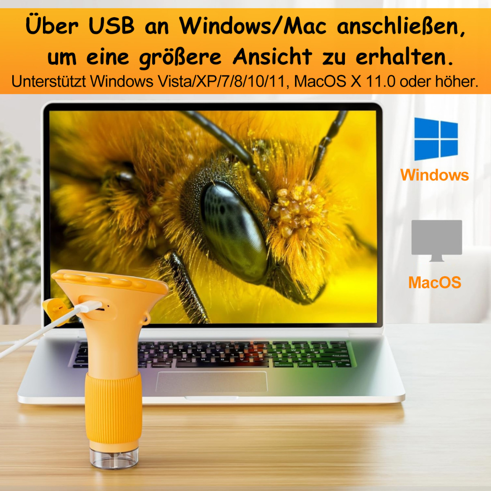 Ein gelbes Mikroskop steht vor einem Laptop, der eine Nahaufnahme einer Biene zeigt.