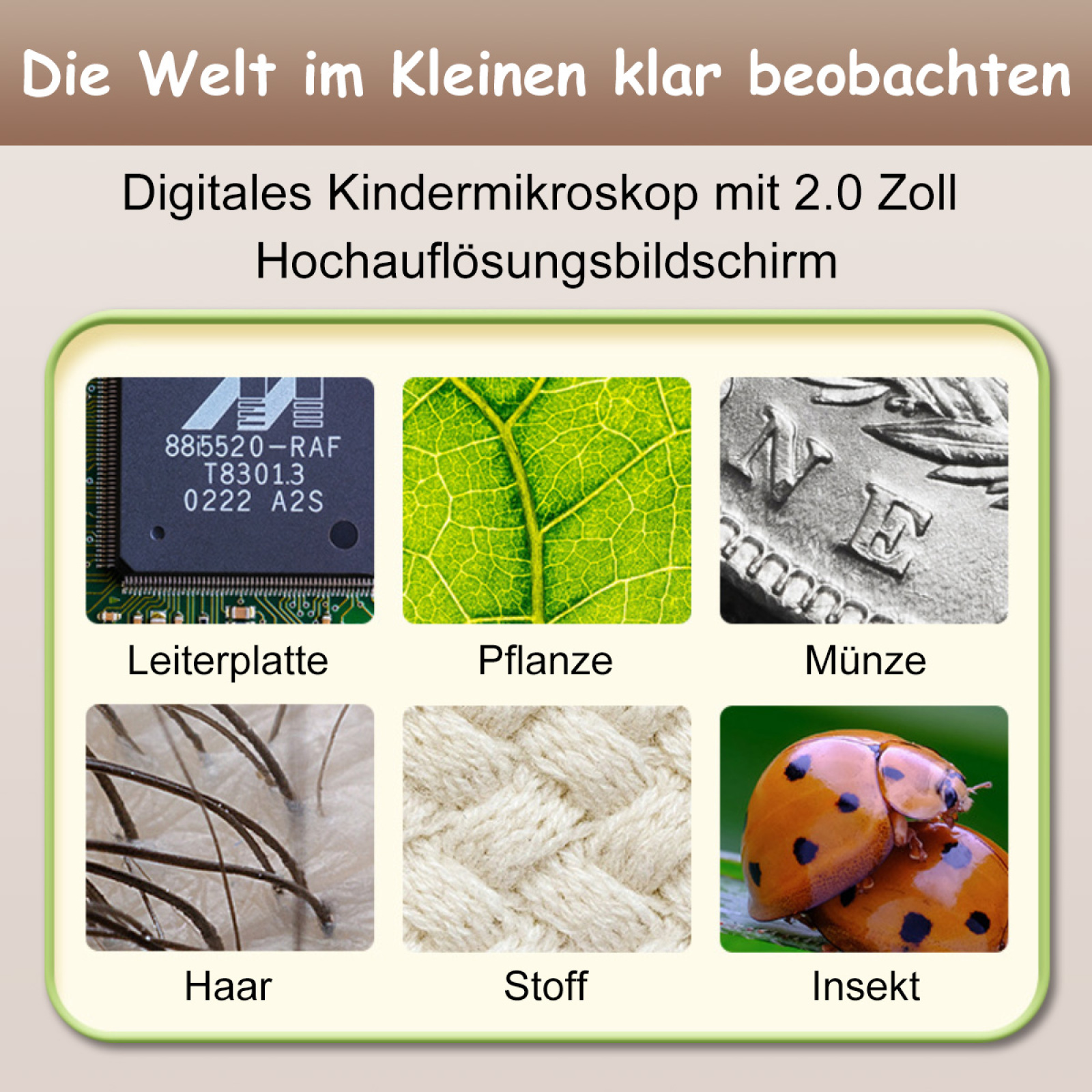 Nahaufnahmen verschiedener Objekte unter einem Mikroskop: Chip, Blatt, Münze, Haar, Stoff, Insekt.