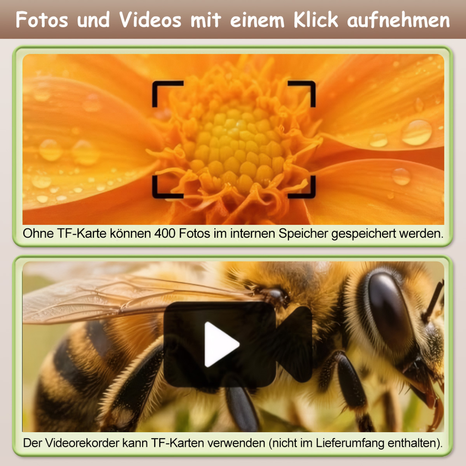 Nahaufnahme einer Blume und einer Biene auf einem Video. Text auf Deutsch.