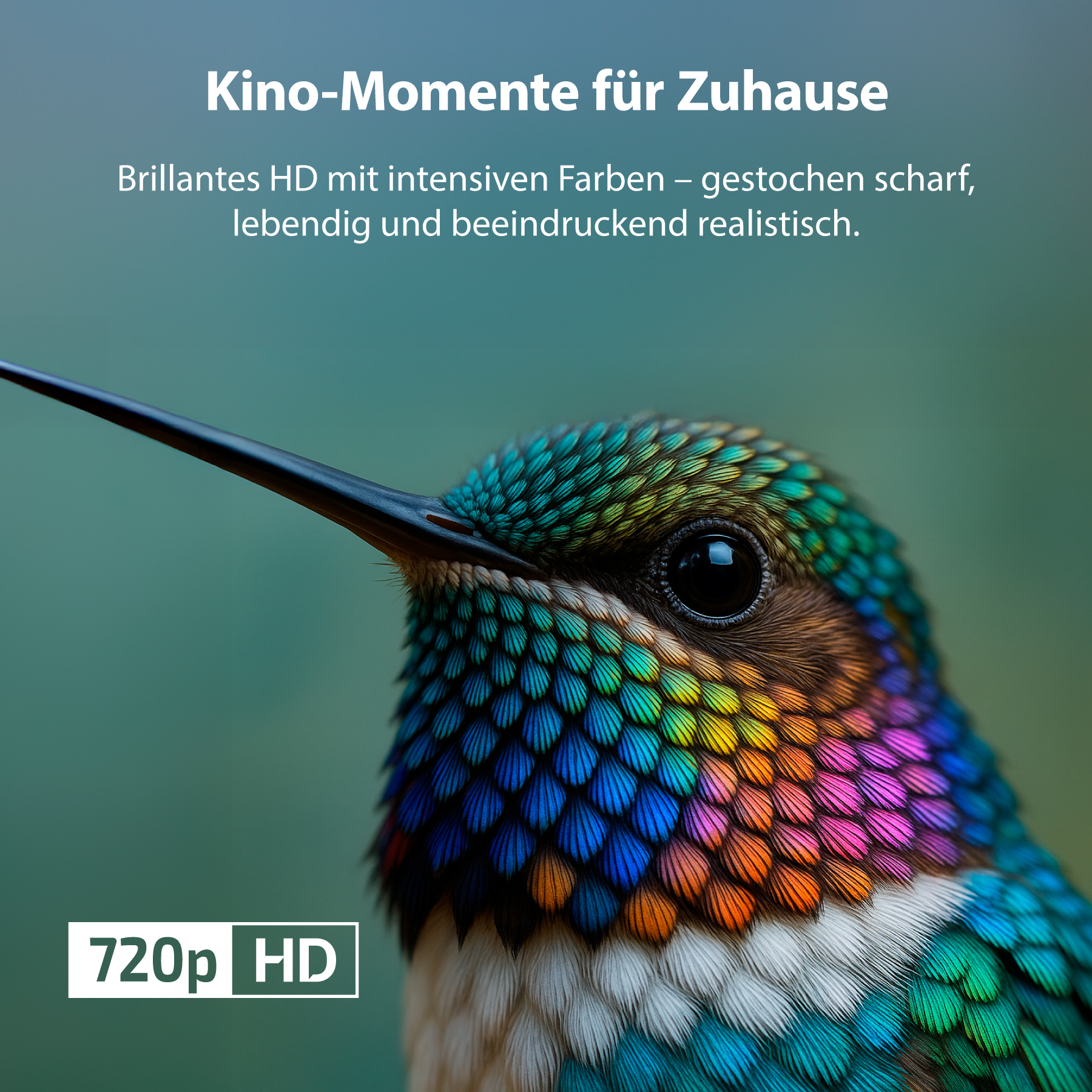 Nahaufnahme eines bunten Kolibris mit Text darüber und darunter. Der Vogel blickt nach links.