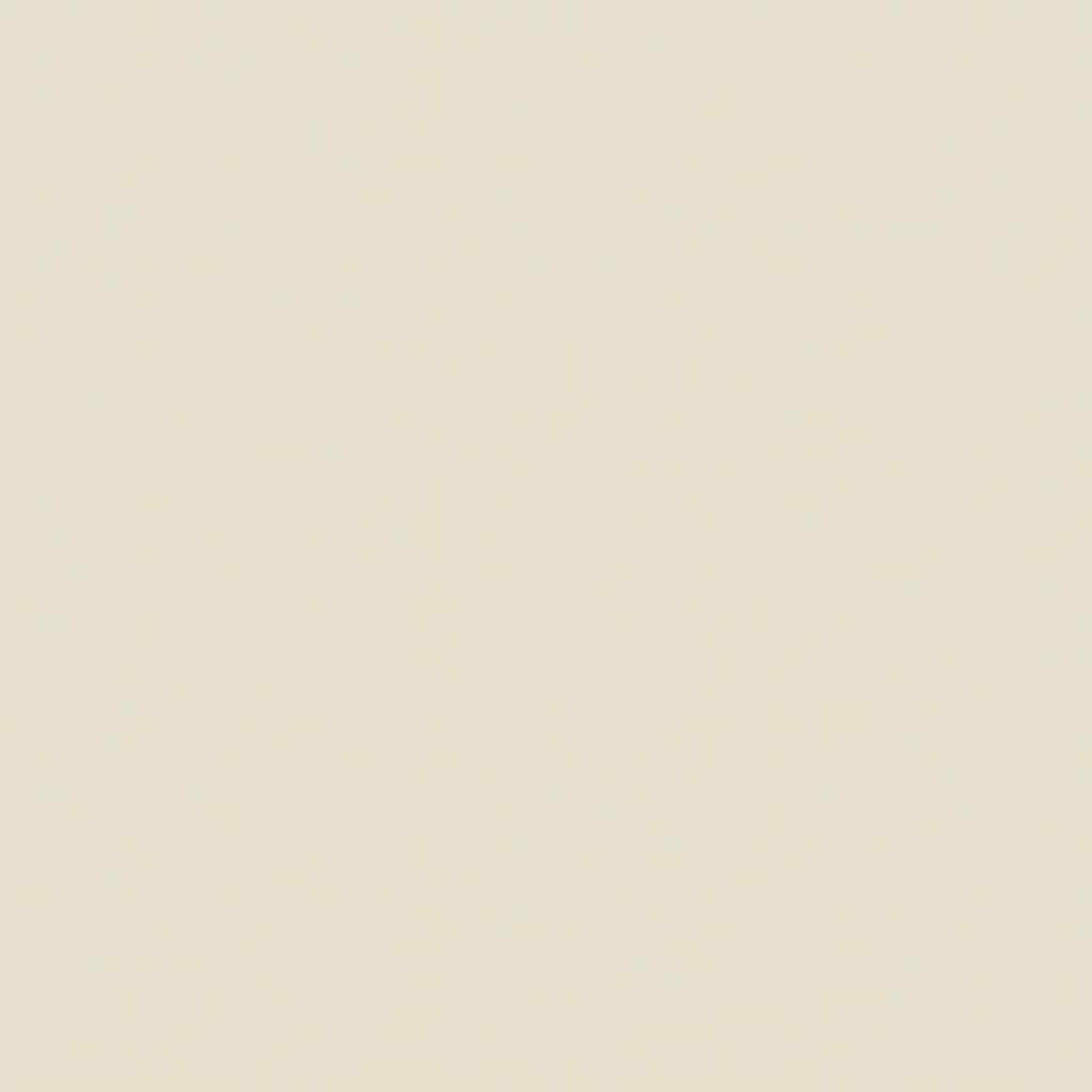 Uno sfondo beige chiaro a tinta unita.