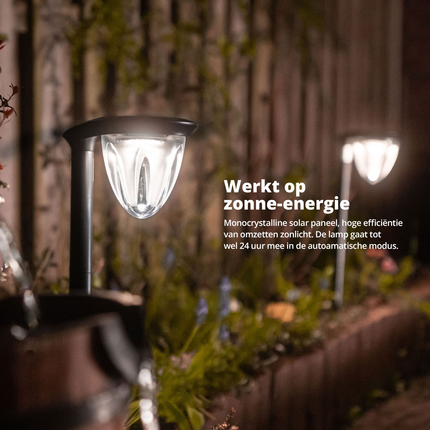 Een zwarte solar buitenlamp staat tussen planten in een tuin.