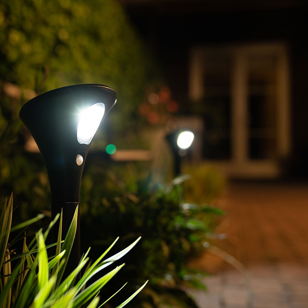 Zwarte solar tuinlamp verlicht groene planten en een wit omkaderd raam 's nachts.
