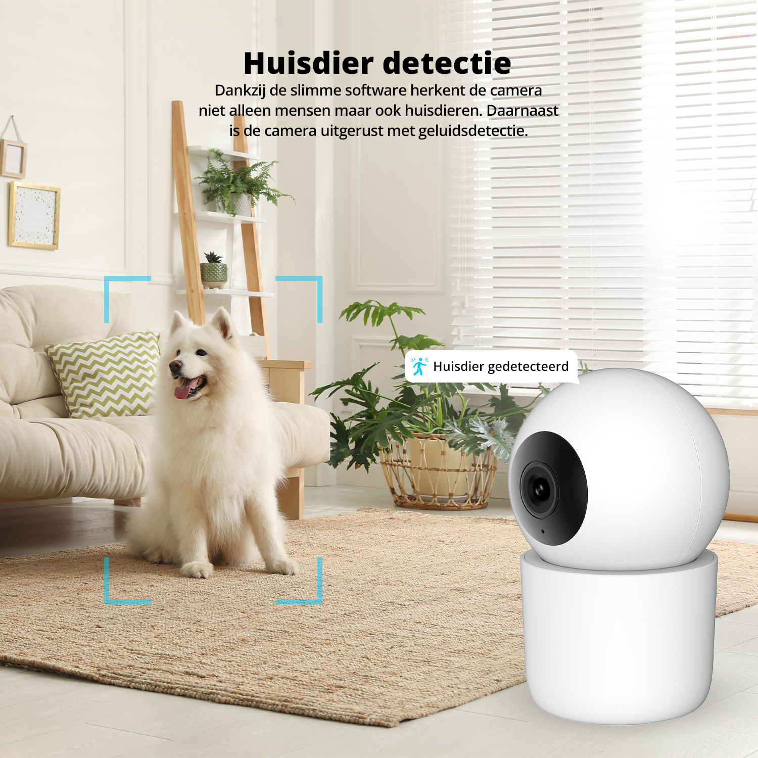 Security camera detects dog in living room, highlighting pet detection. White camera.