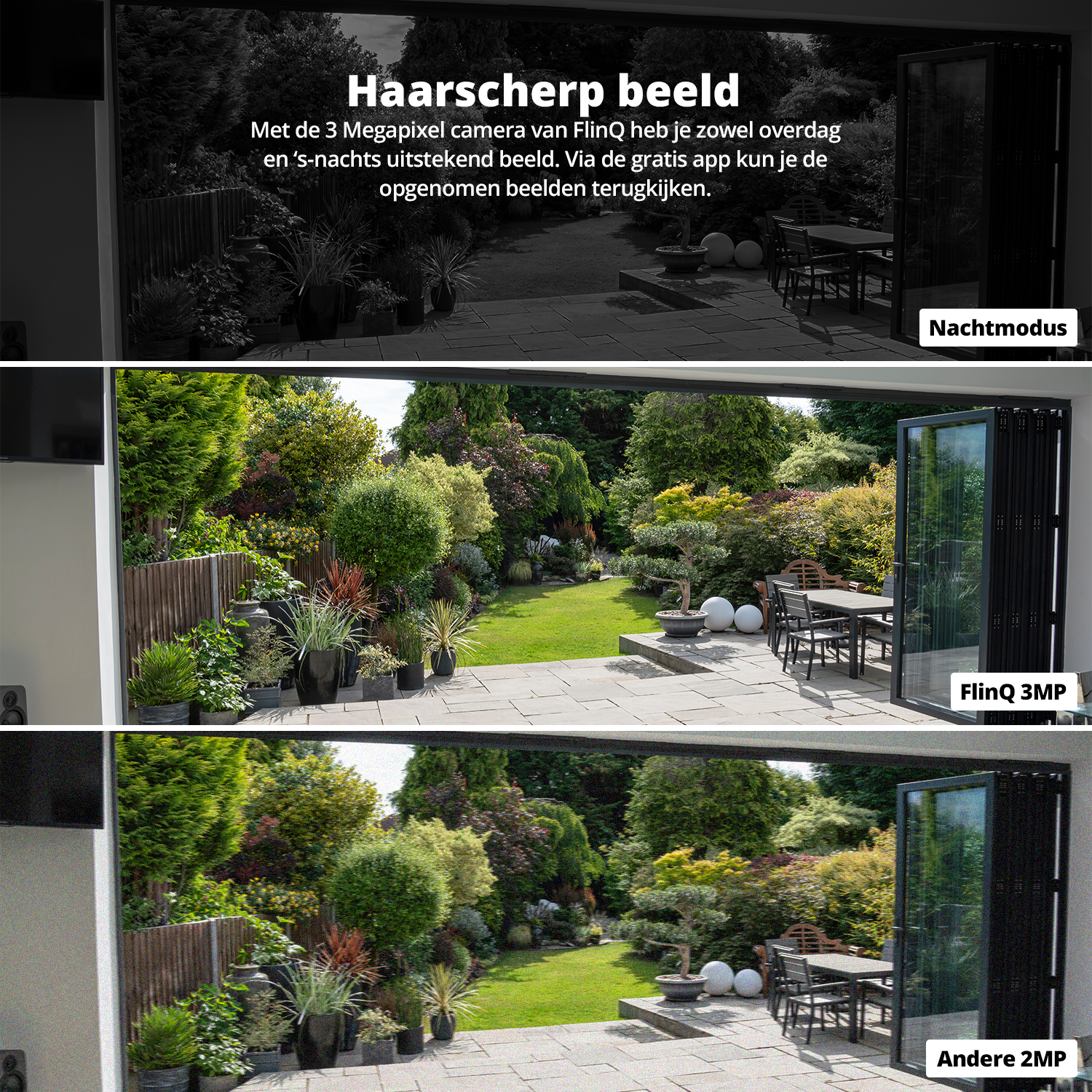 Ein geteilter Bildschirm zeigt einen Garten in Schwarzweiß und Farbe, der die Kameraqualität hervorhebt.