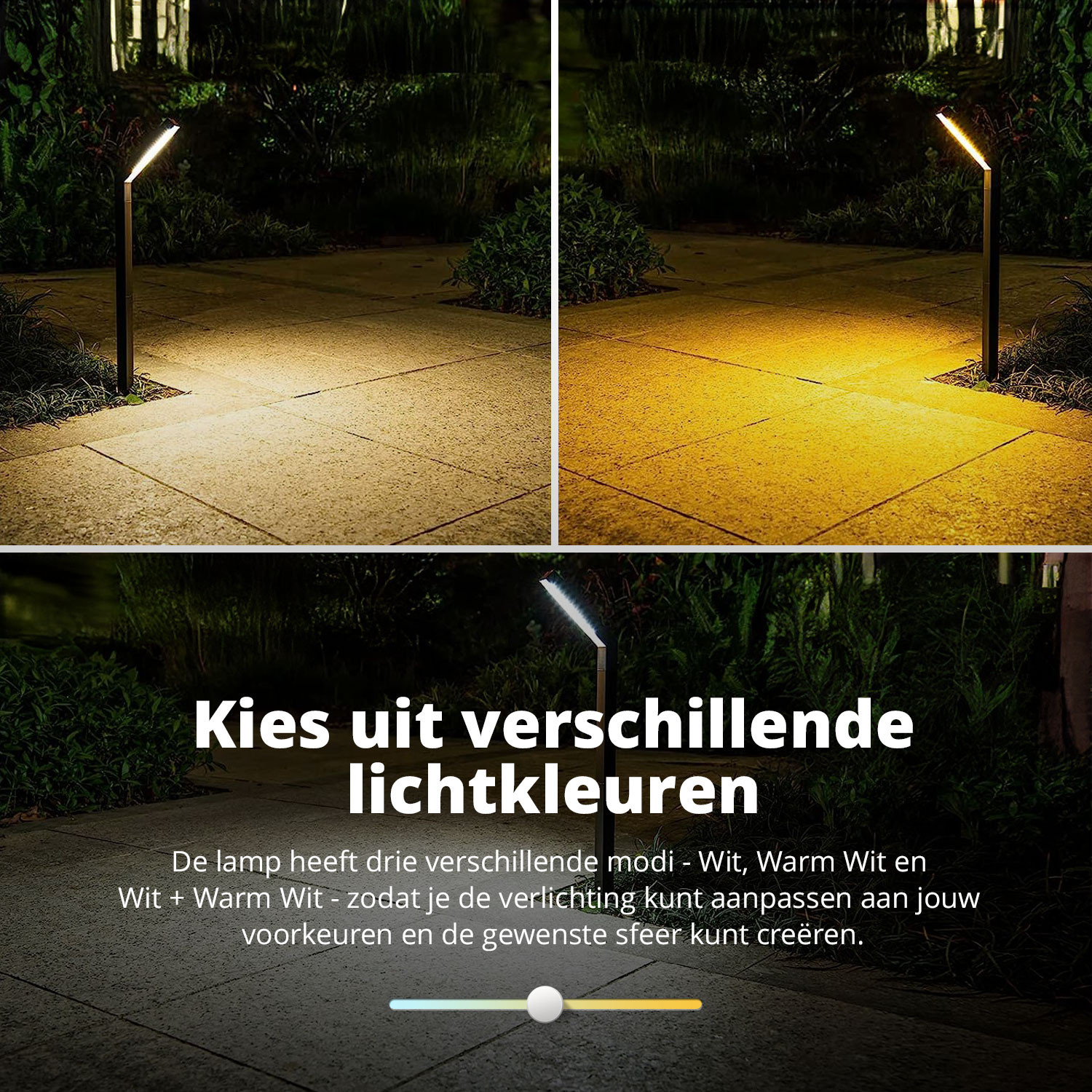 Zonnelampen tonen verschillende lichtkleuren op een tuinpad.