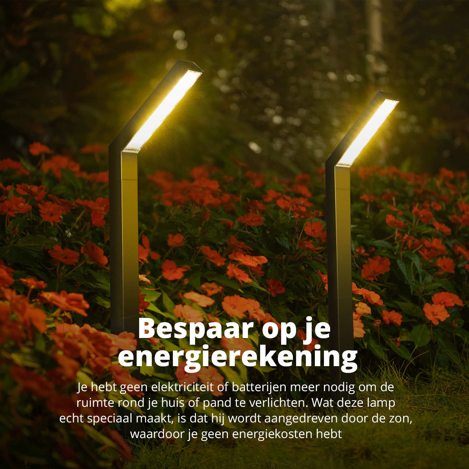 Zonnelampen tussen bloemen bieden energiebesparingen en een speciale ambiance.