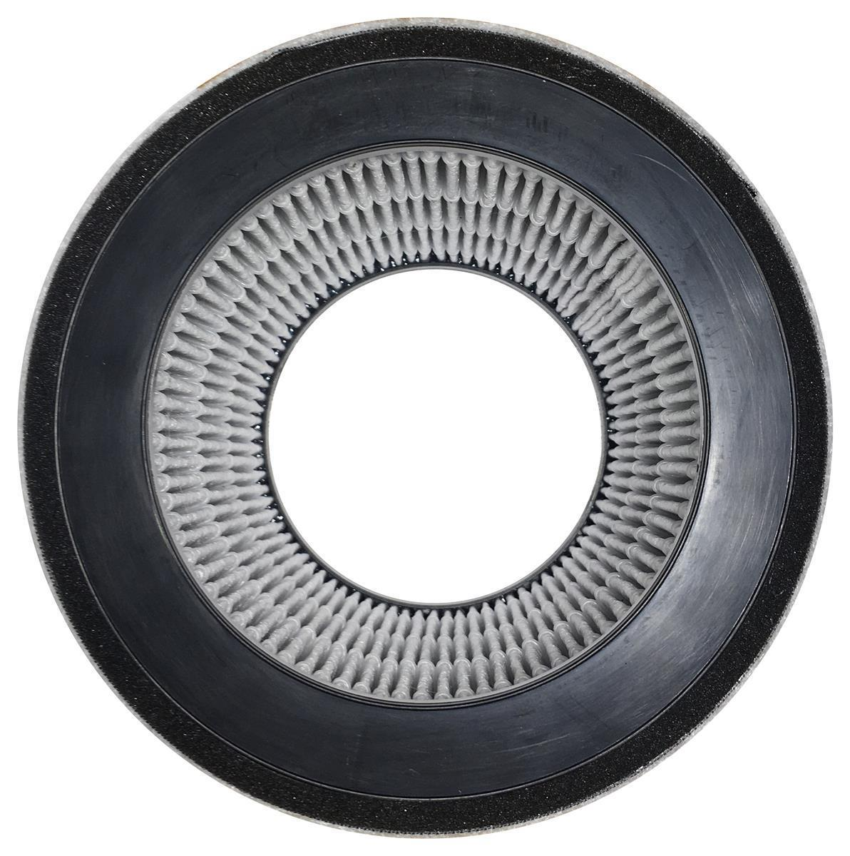 Ein runder Luftfilter mit schwarzem Rand und weißem Filtermaterial ist abgebildet.
