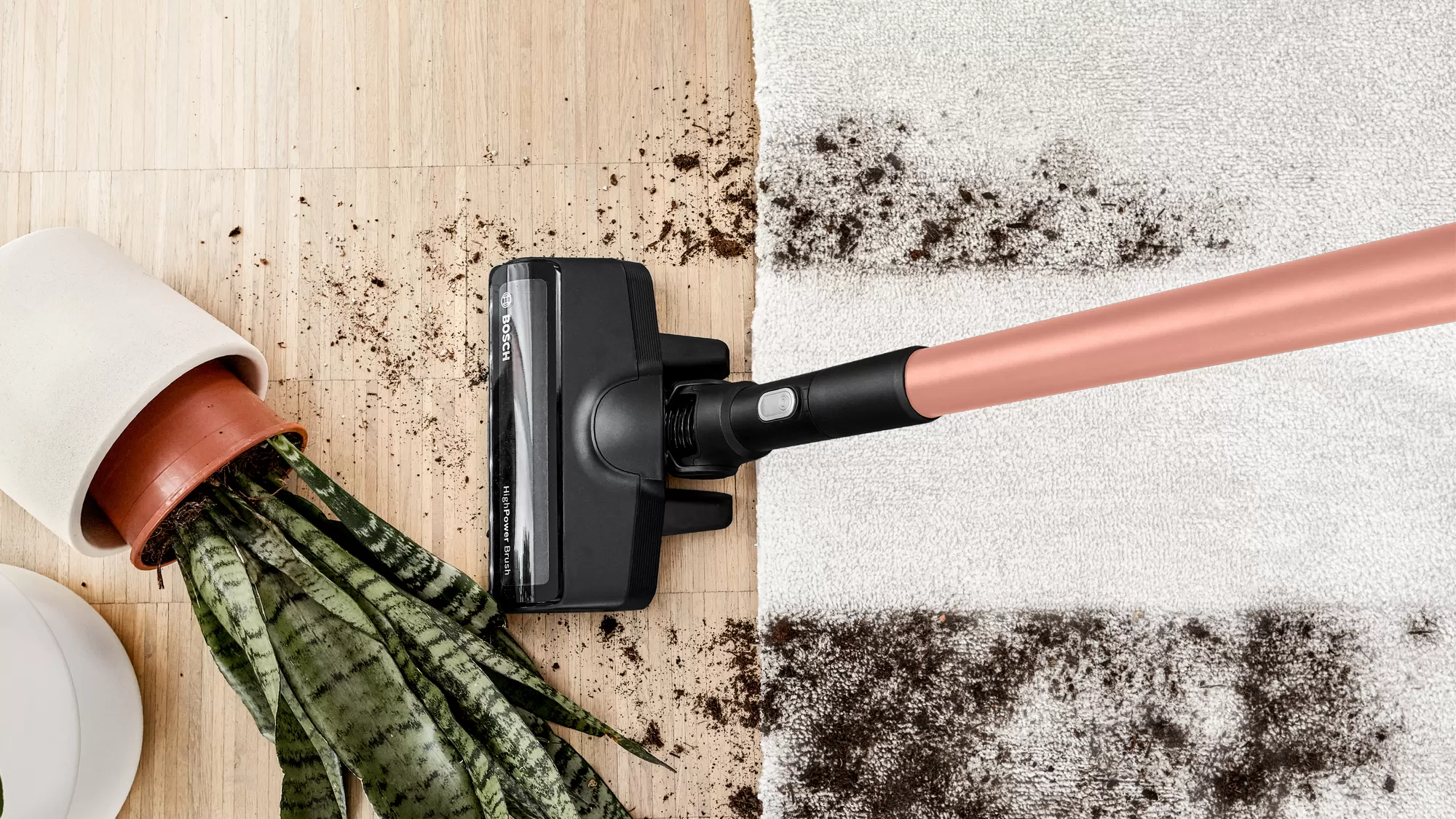 Głowica odkurzacza czyszcząca brud obok rośliny doniczkowej na twardym drewnie i dywanie.