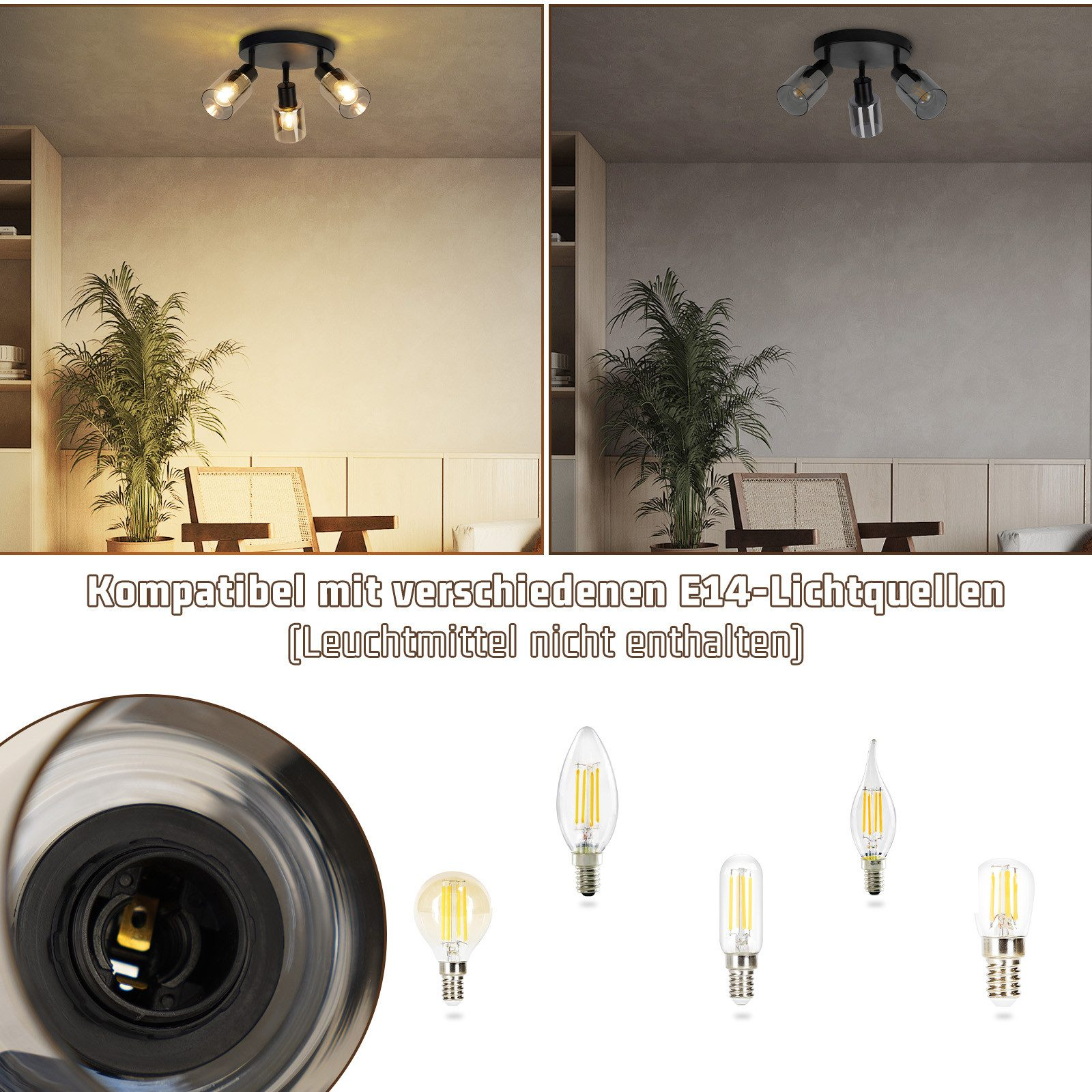 L'immagine mostra una plafoniera e sorgenti luminose E14 compatibili sullo sfondo di un soggiorno.