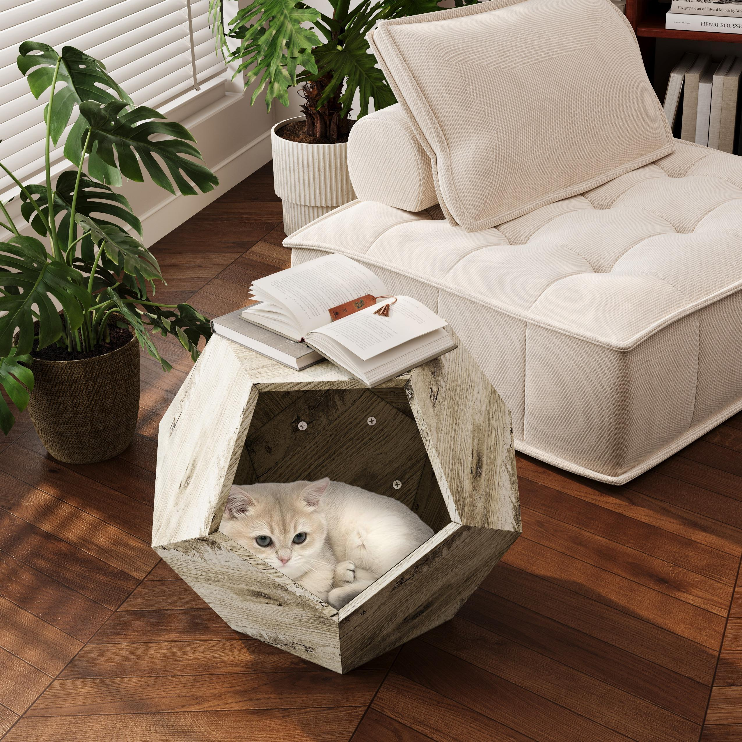 Eine kleine Katze, die sich in einem geometrischen Holztisch zusammenrollt, der mit Büchern gefüllt ist, neben einem Stuhl und Pflanzen.