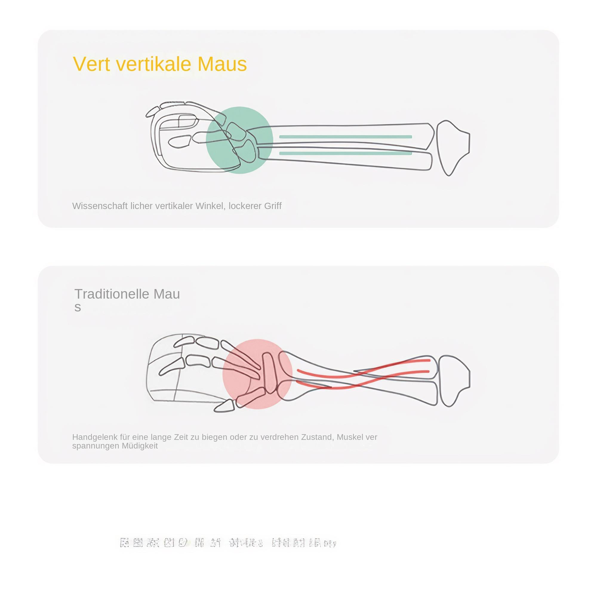 Diagramm, das Handpositionen mit vertikaler vs. traditioneller Maus vergleicht und Muskelbelastung zeigt.