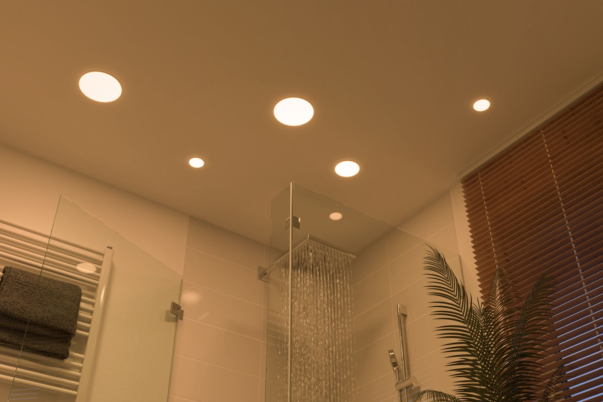 Ein modernes Badezimmer verfügt über eine Glasdusche, einen Handtuchwärmer und eine Pflanze, die alle durch Einbauleuchten beleuchtet werden.