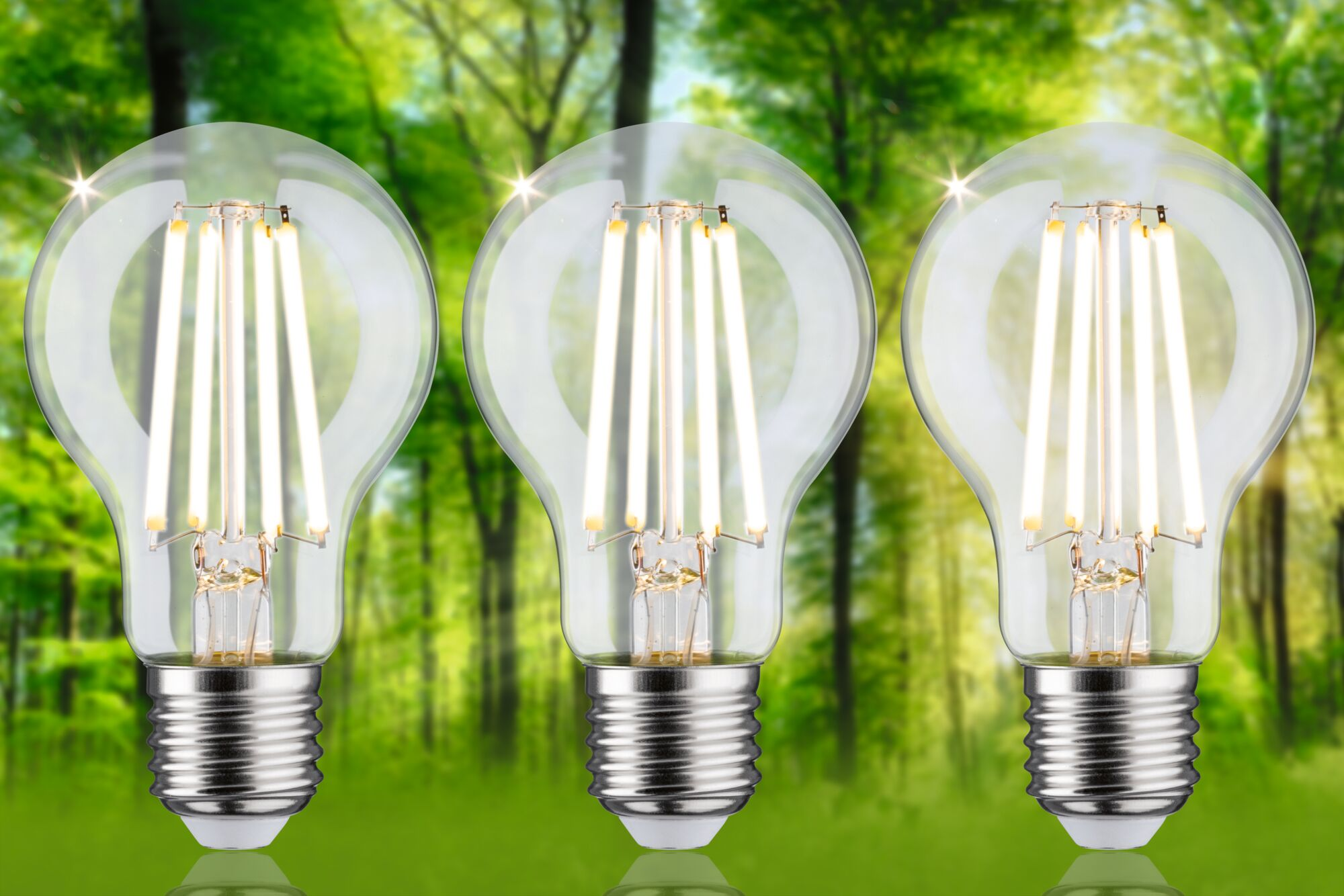 Drei LED-Glühbirnen in einer Reihe, mit grünem und unscharfem Hintergrund.