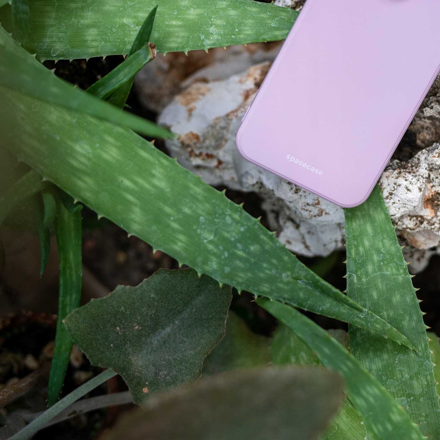 Jasnofioletowe etui na telefon na skałach, otoczone zielonymi roślinami aloesu.