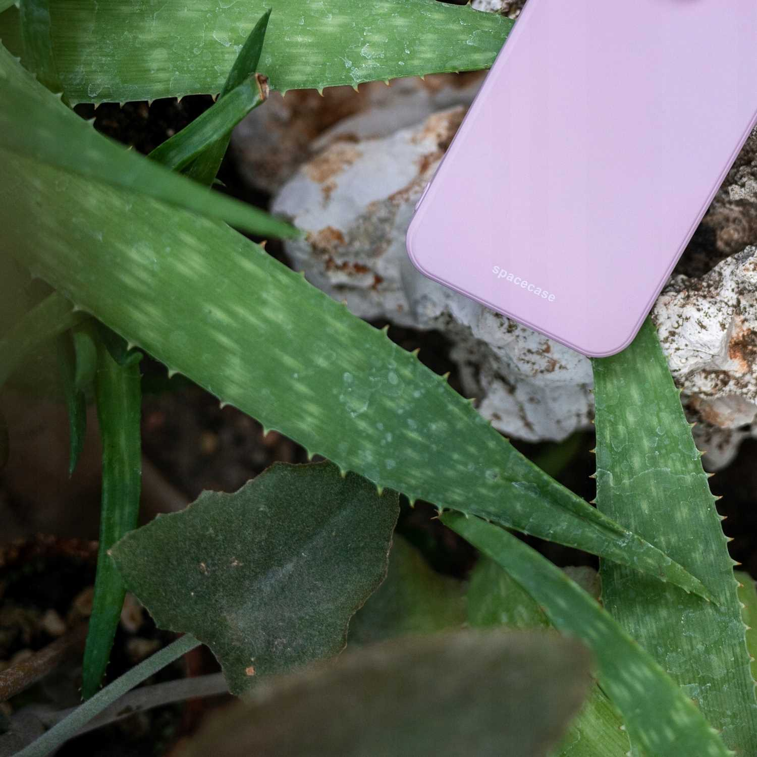 Liliowe etui na telefon znajduje się w pobliżu liści aloesu. Etui ma logo Spacecase.