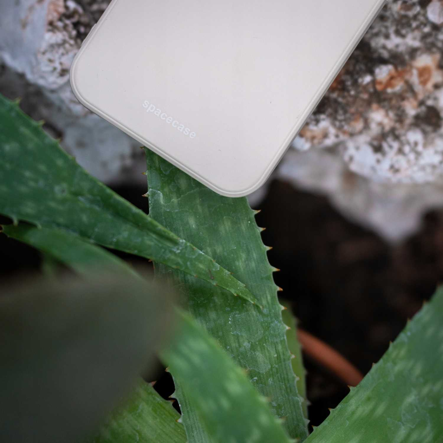 Beżowe etui na telefon z logo 'spacecase' spoczywa na zielonej roślinie aloesu w pobliżu skał.