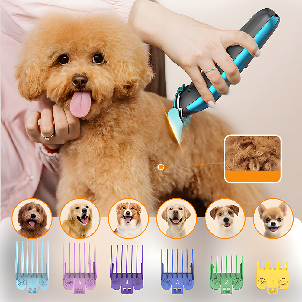 Osoba pielęgnuje pudla za pomocą niebieskich maszynek do strzyżenia, prezentując różne grzebienie prowadzące i rasy psów.