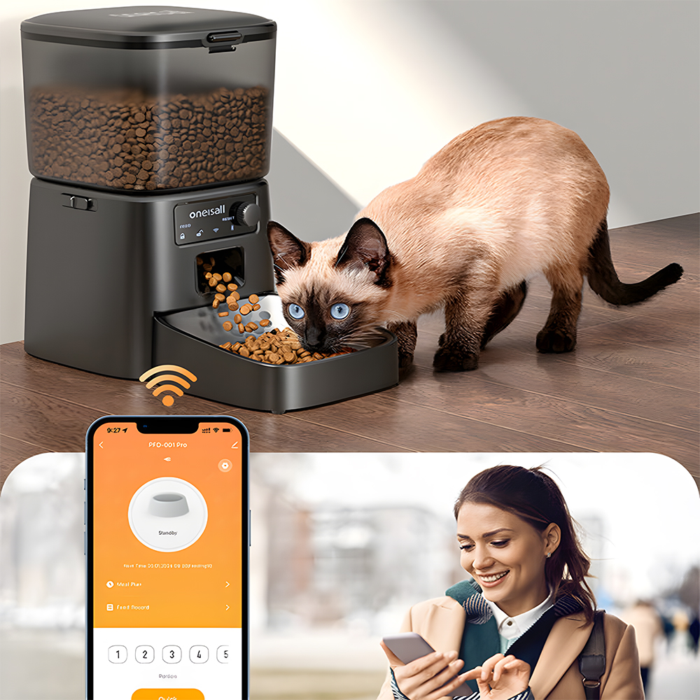 Kot jedzący z karmnika, kobieta używająca telefonu i inteligentny karmnik.