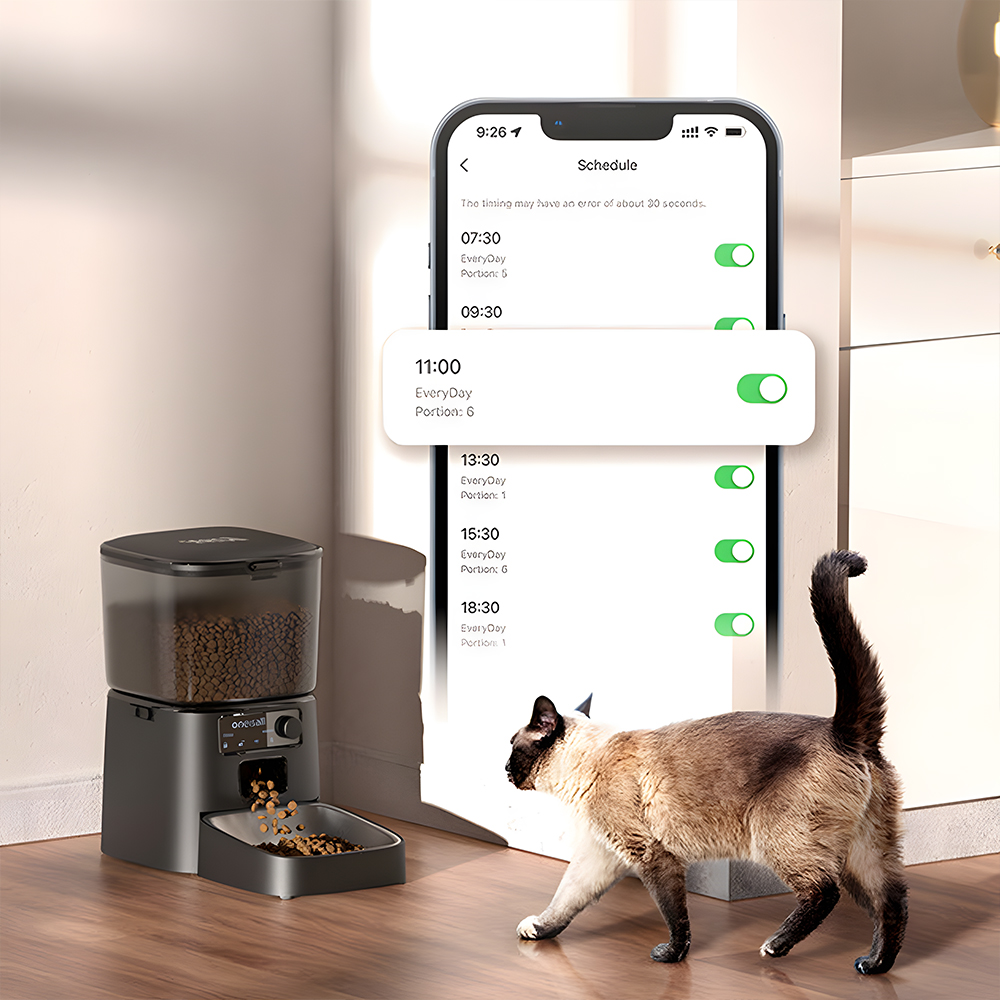 Kot w pobliżu karmnika, ekran telefonu z harmonogramem i inteligentny karmnik.