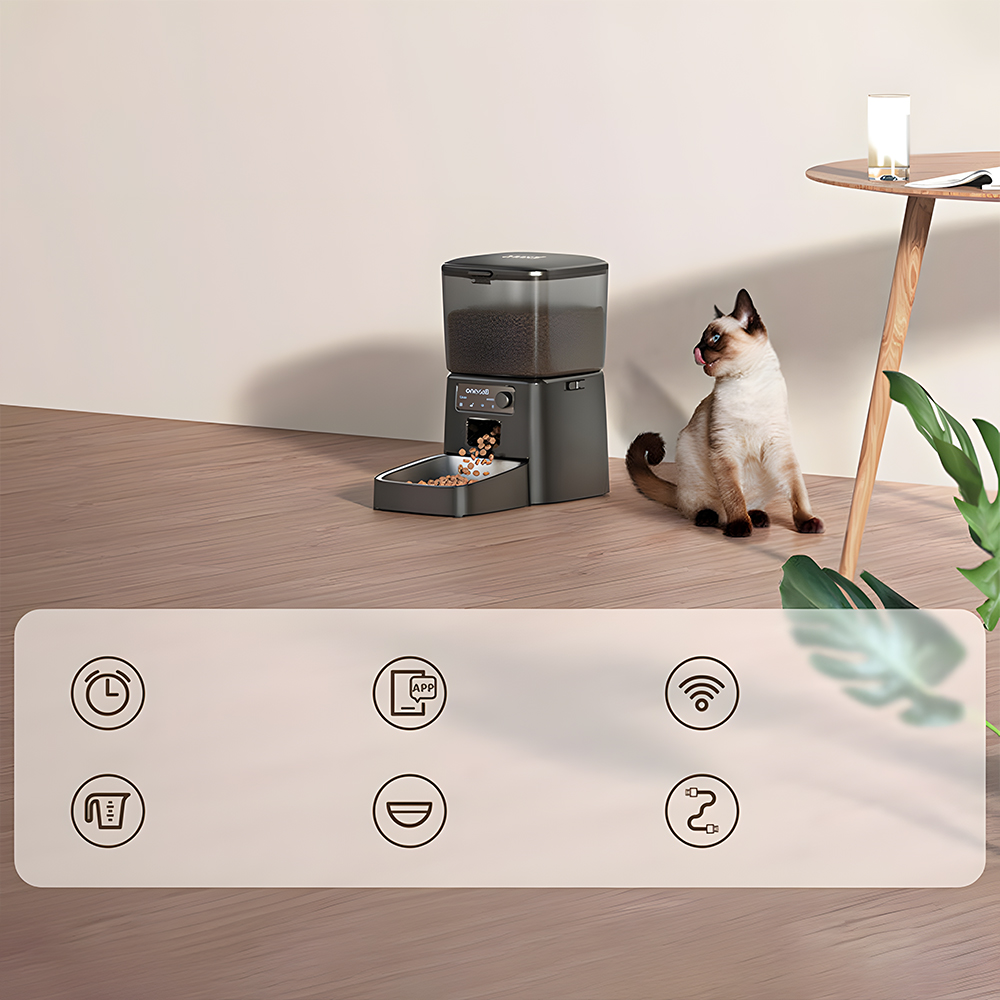 Kot patrzący na karmnik ze ikonami czasu, aplikacji, Wi-Fi i zasilania.