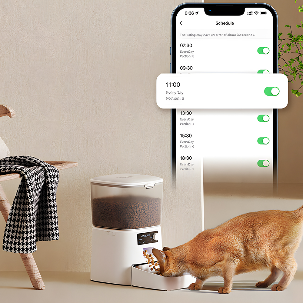 Kot jedzący z karmnika, ekran telefonu z harmonogramem i inteligentny karmnik.