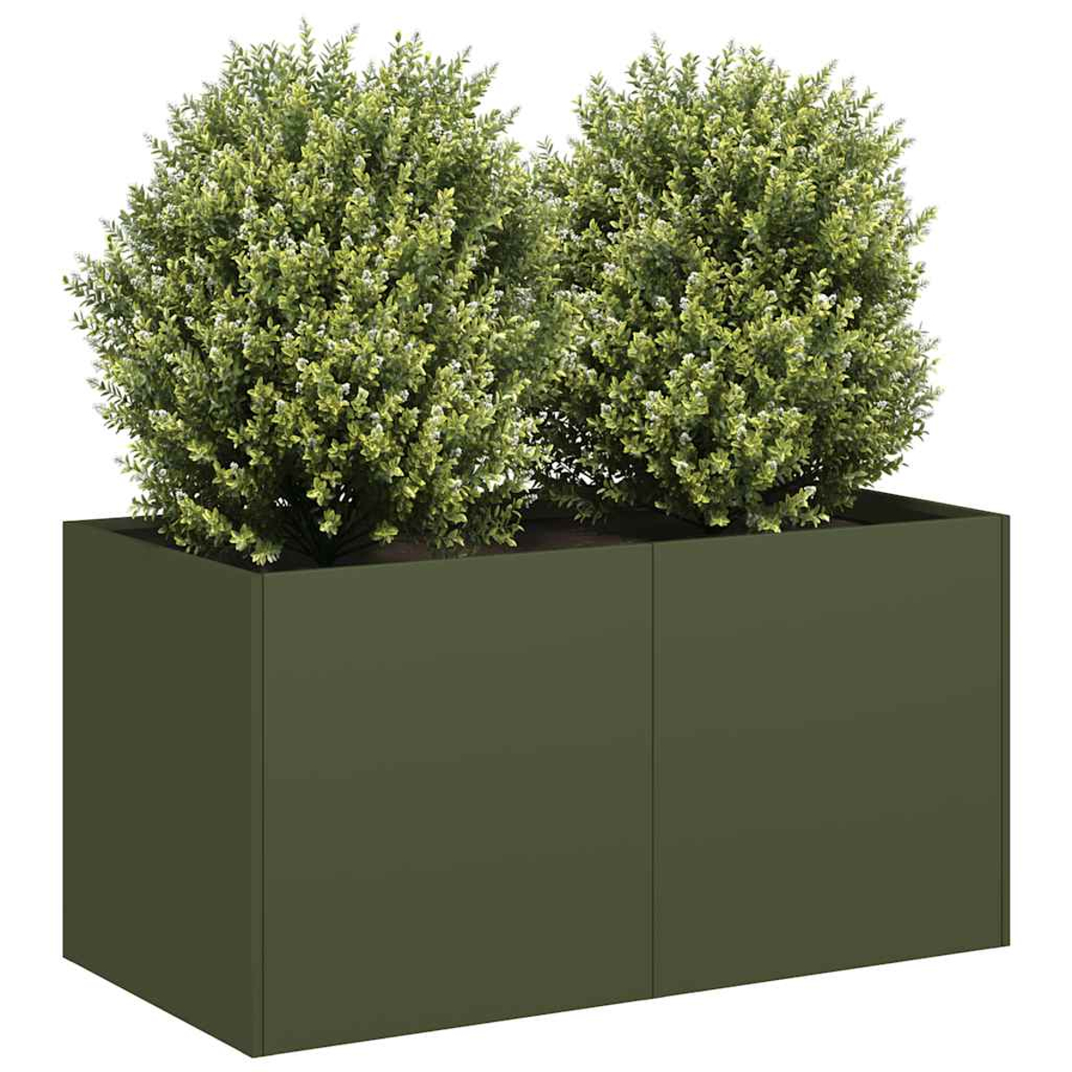 Una fioriera verde con due cespugli verdi rotondi su uno sfondo bianco.