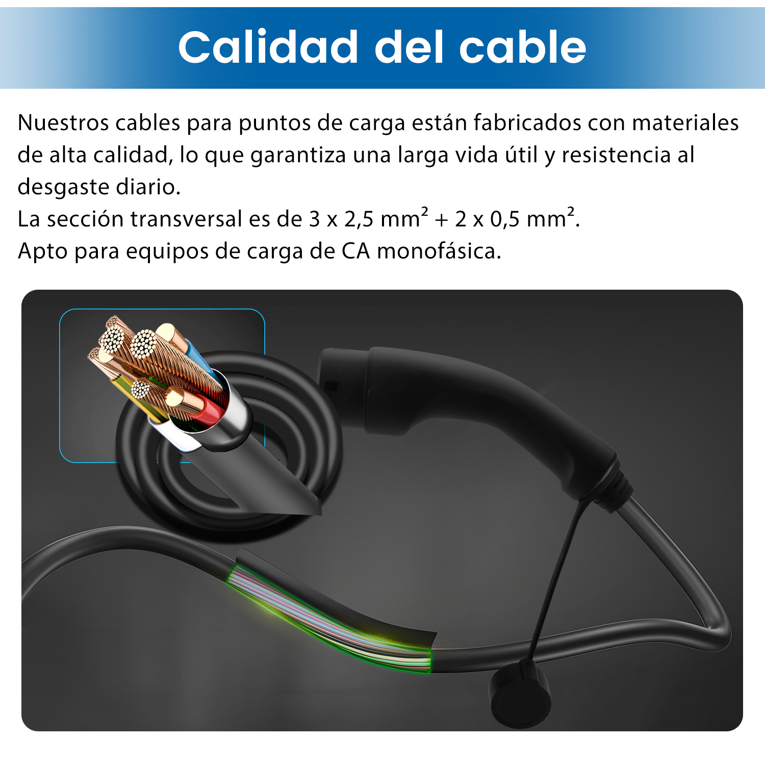 Se muestra un cable de carga EV negro, que muestra su sección transversal y cableado interno, con una franja verde.