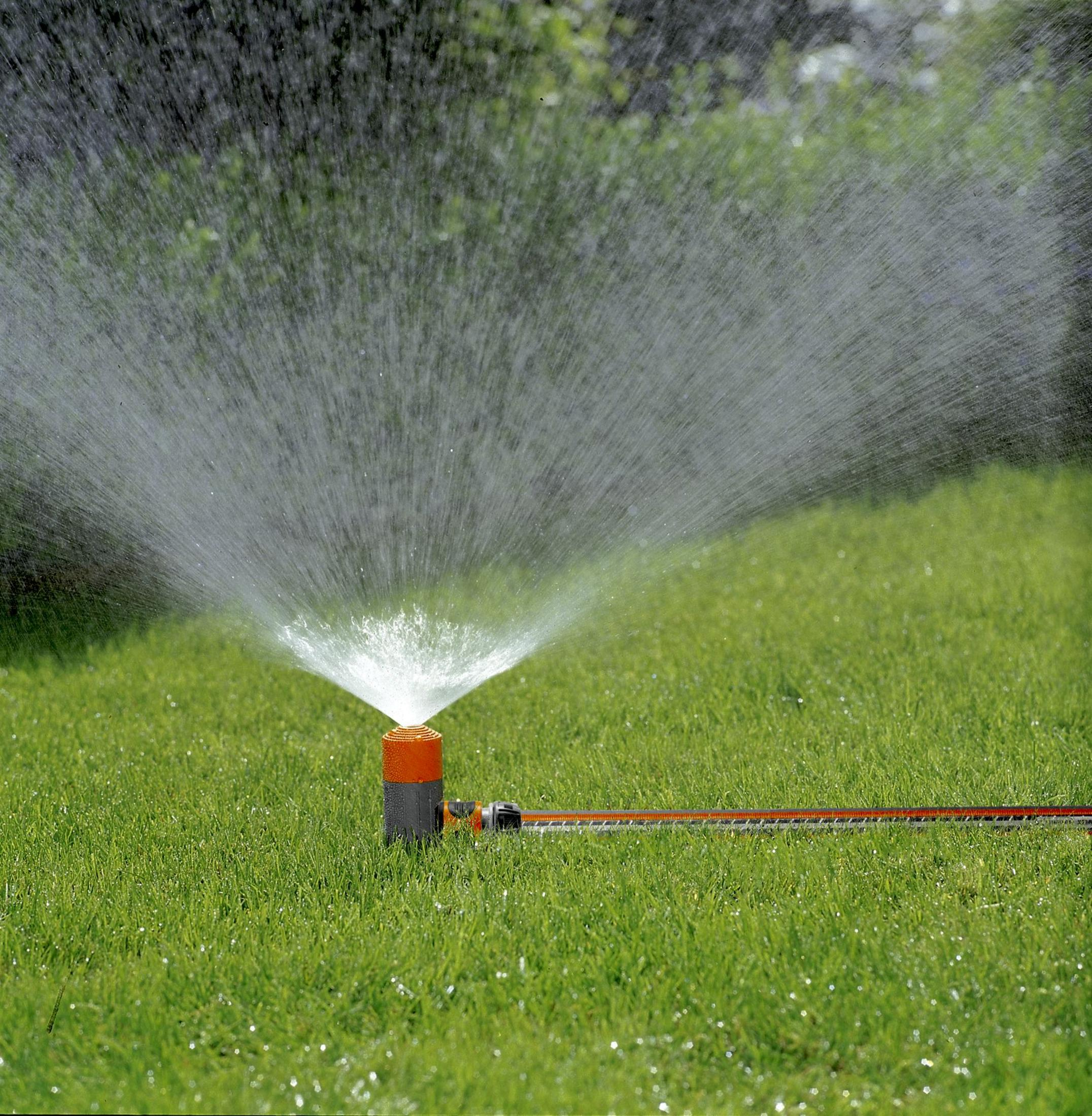 Un irrigatore spruzza acqua su un prato verde. Una testina arancione e grigia è collegata a un tubo.