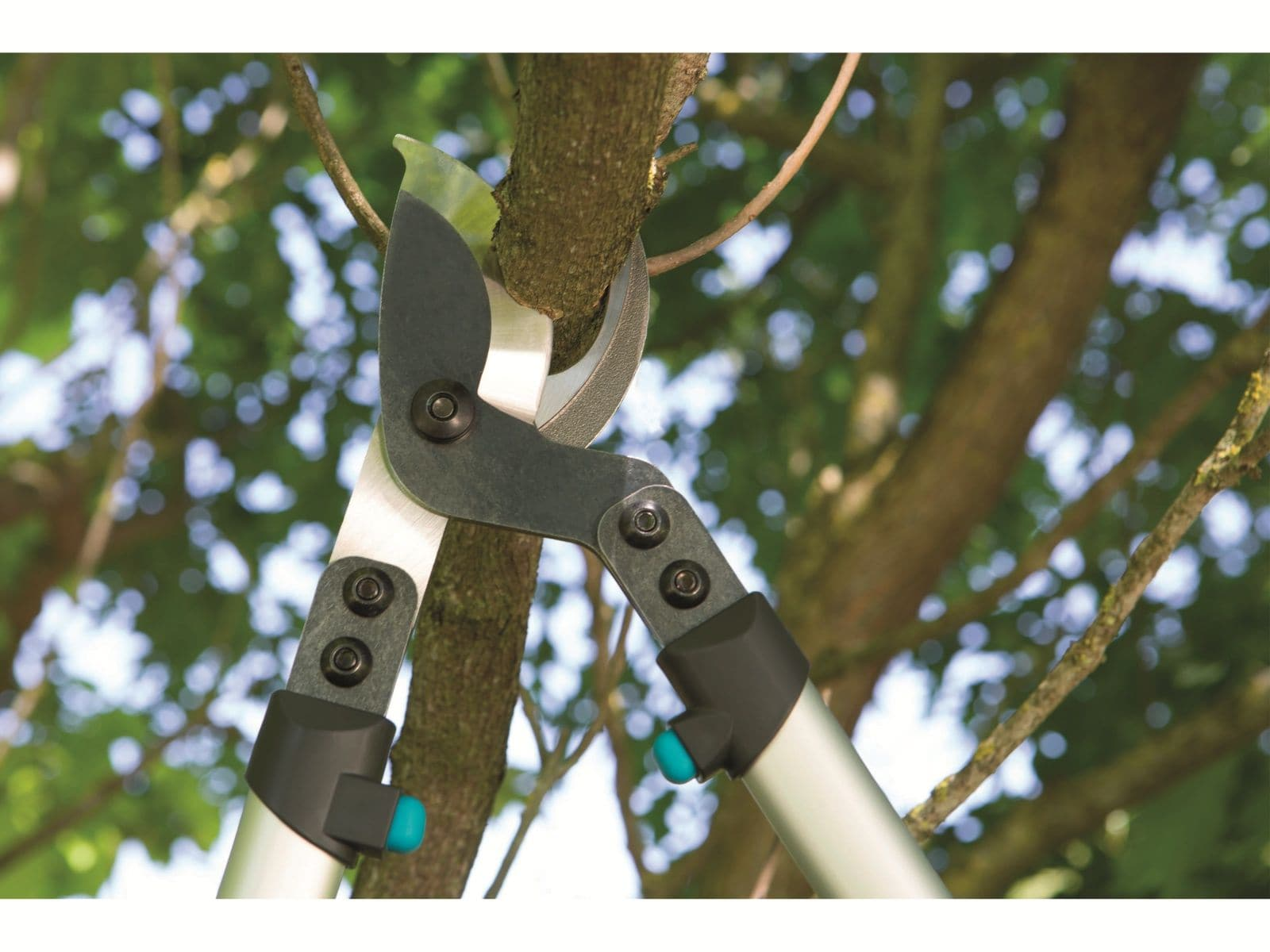 Silberne Astscheren schneiden einen Ast an einem Baum mit grünen Blättern.