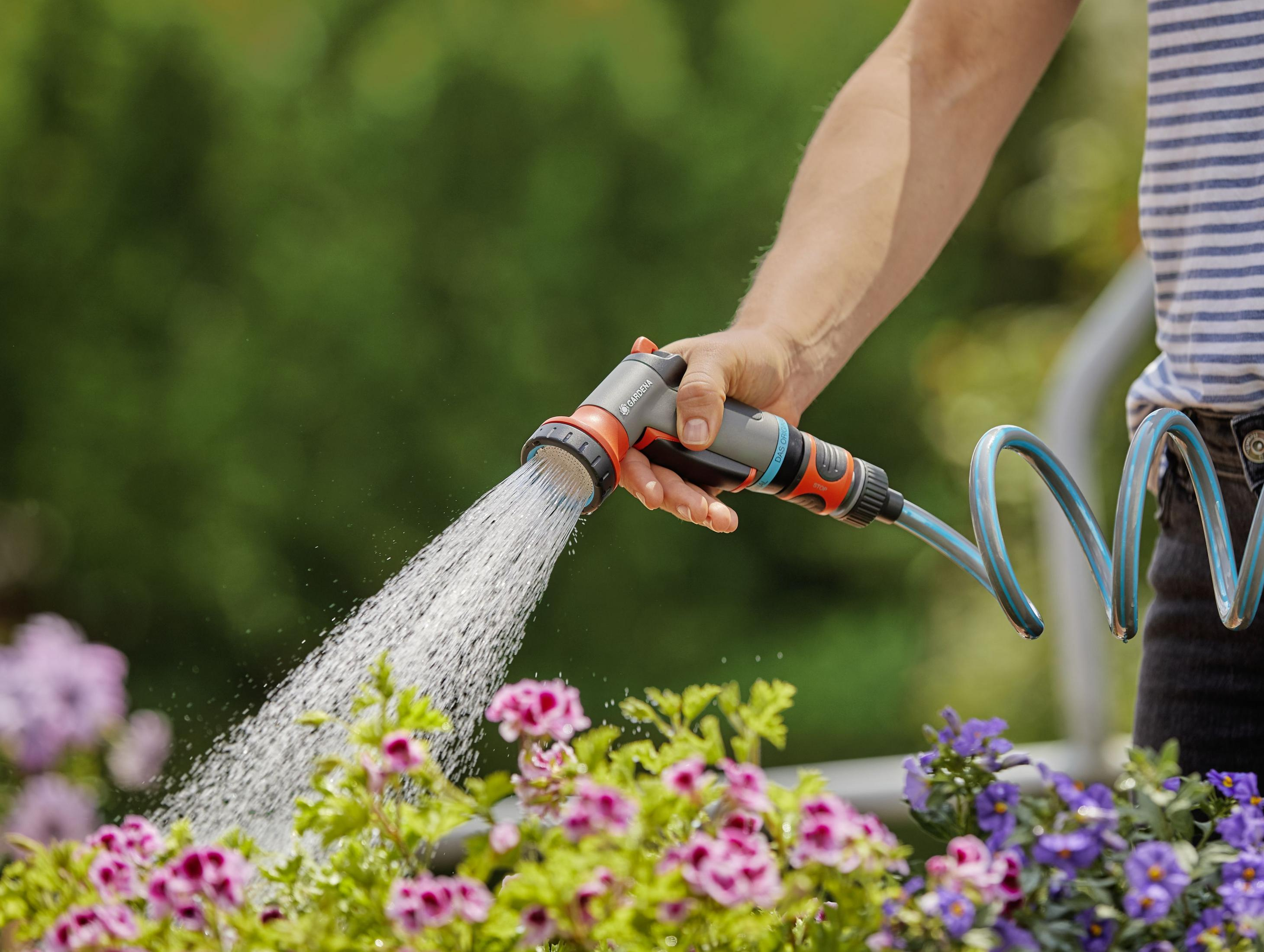 Eine Person hält eine Gardena Sprühdüse, die an einem blauen Schlauch befestigt ist, und gießt Topfblumen.