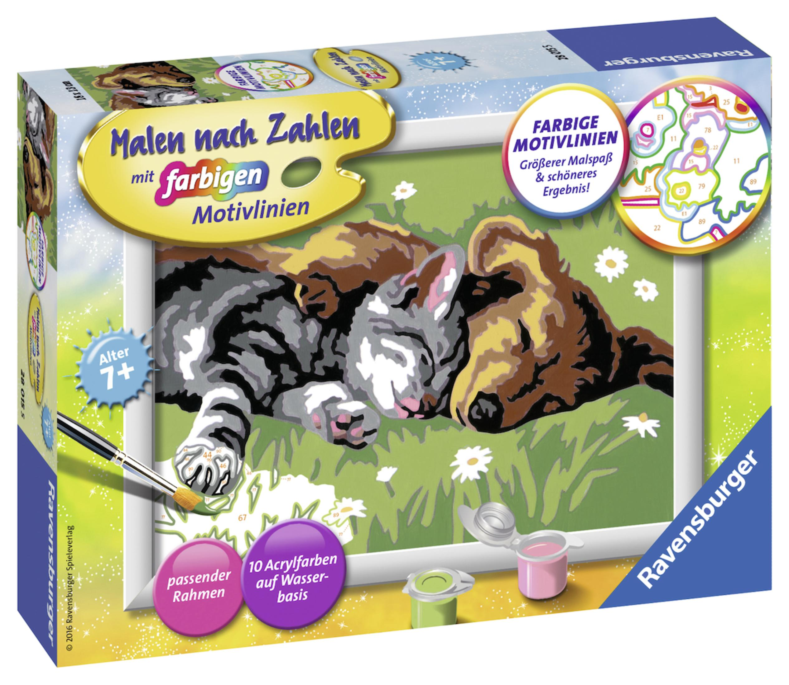 Un kit di pittura numerica che mostra un gatto e un cane che dormono. Il kit include vernici, un pennello e istruzioni.