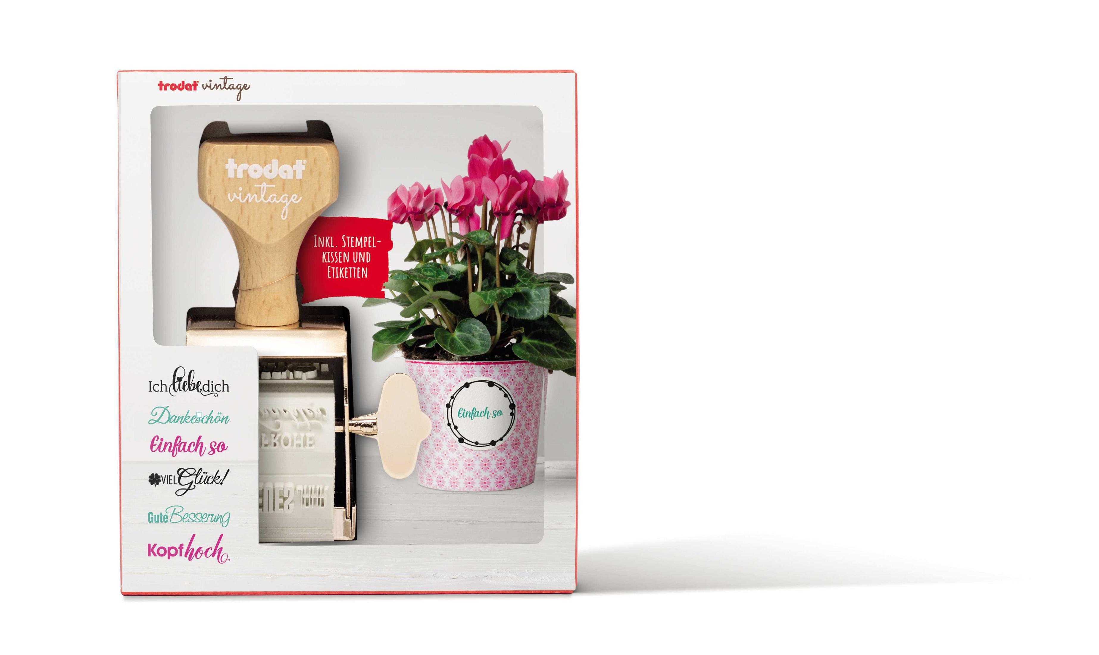 Eine Box mit einem Stempelset und einem Topf mit rosa Alpenveilchen. Der Hintergrund ist weiß.