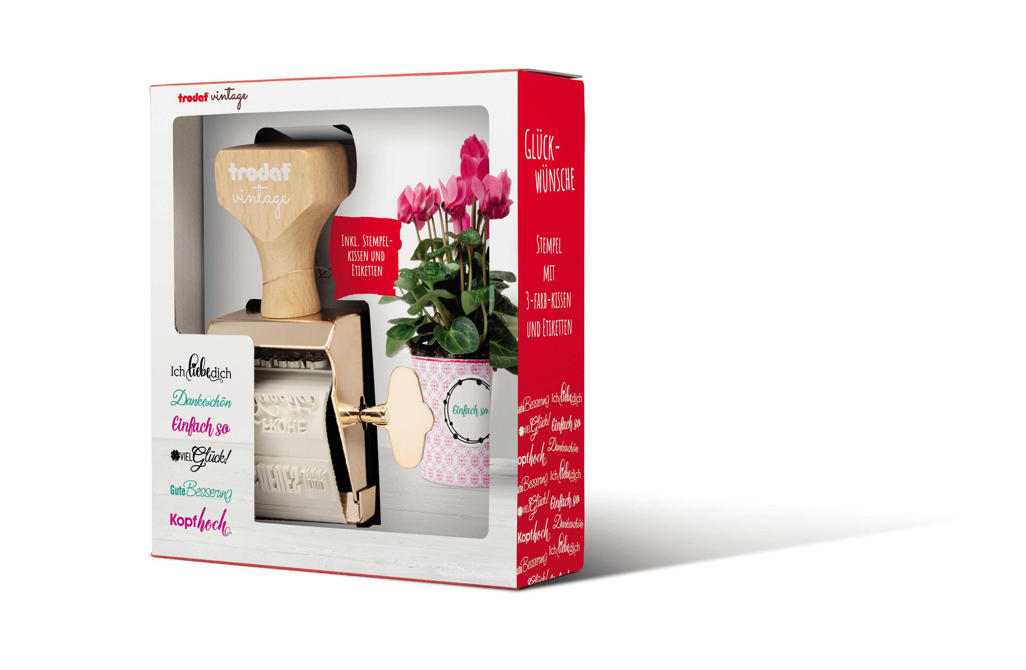Eine Box mit einem Stempelset und einem Topf mit rosa Alpenveilchen. Der Hintergrund ist weiß.