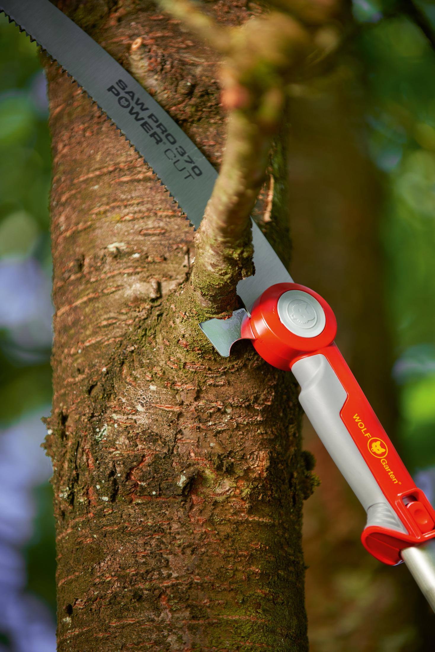 Nahaufnahme einer Baumsäge, die einen Ast schneidet, wobei die Gartenpflege und der Werkzeugeinsatz hervorgehoben werden.