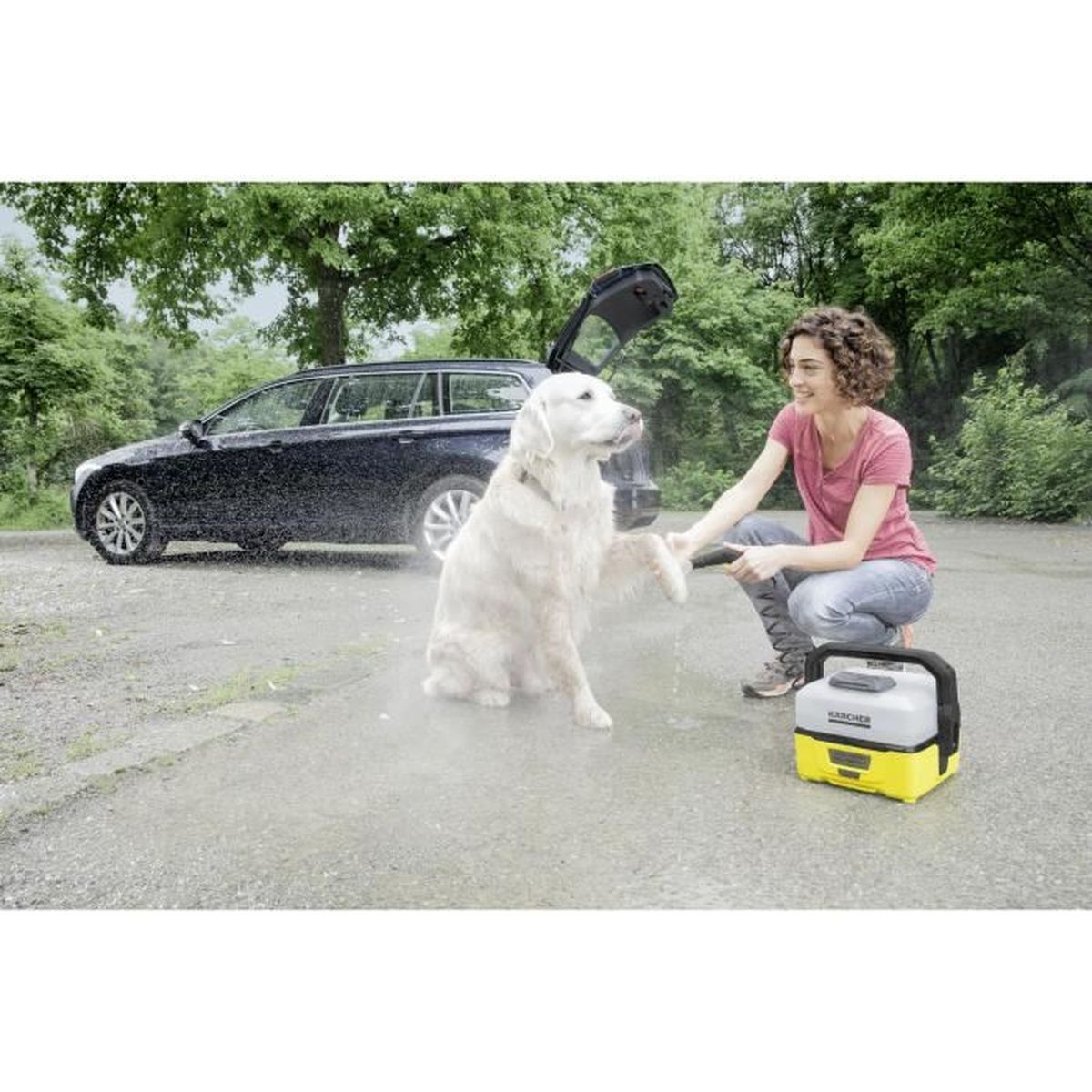 Una donna lava la zampa di un cane con un'idropulitrice accanto a un'auto nera e ad alberi all'aperto.