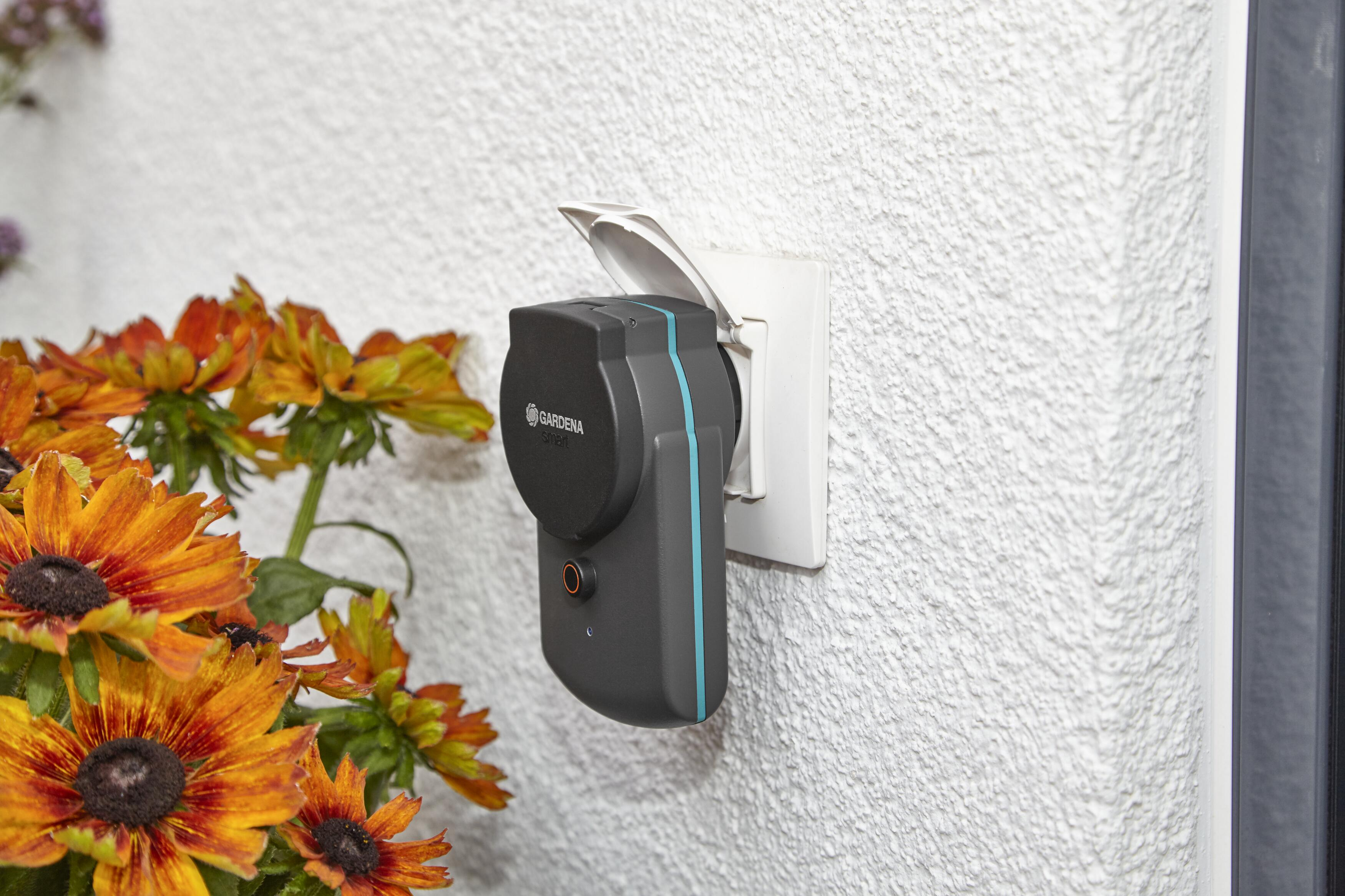Adattatore di alimentazione intelligente Gardena collegato a una presa a muro con fiori intorno.