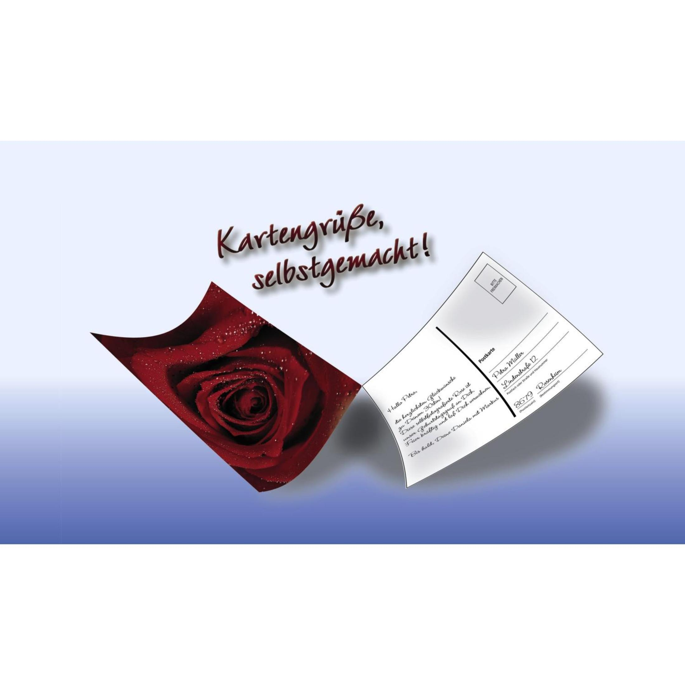 Un'immagine mostra un biglietto di auguri con una rosa rossa accanto a una cartolina scritta a mano.