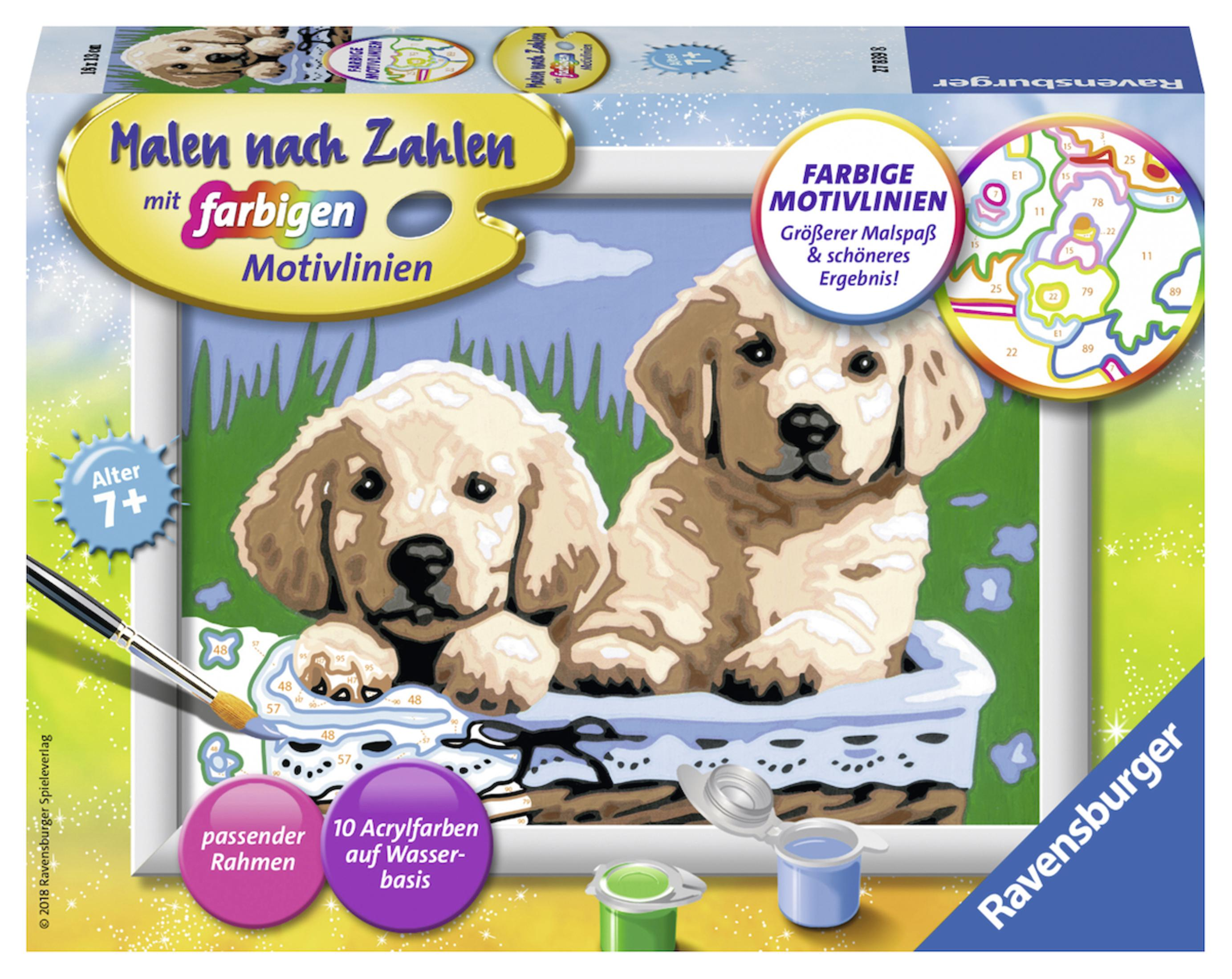 Eine Ravensburger Malen nach Zahlen Schachtel mit zwei Golden Retriever Welpen.