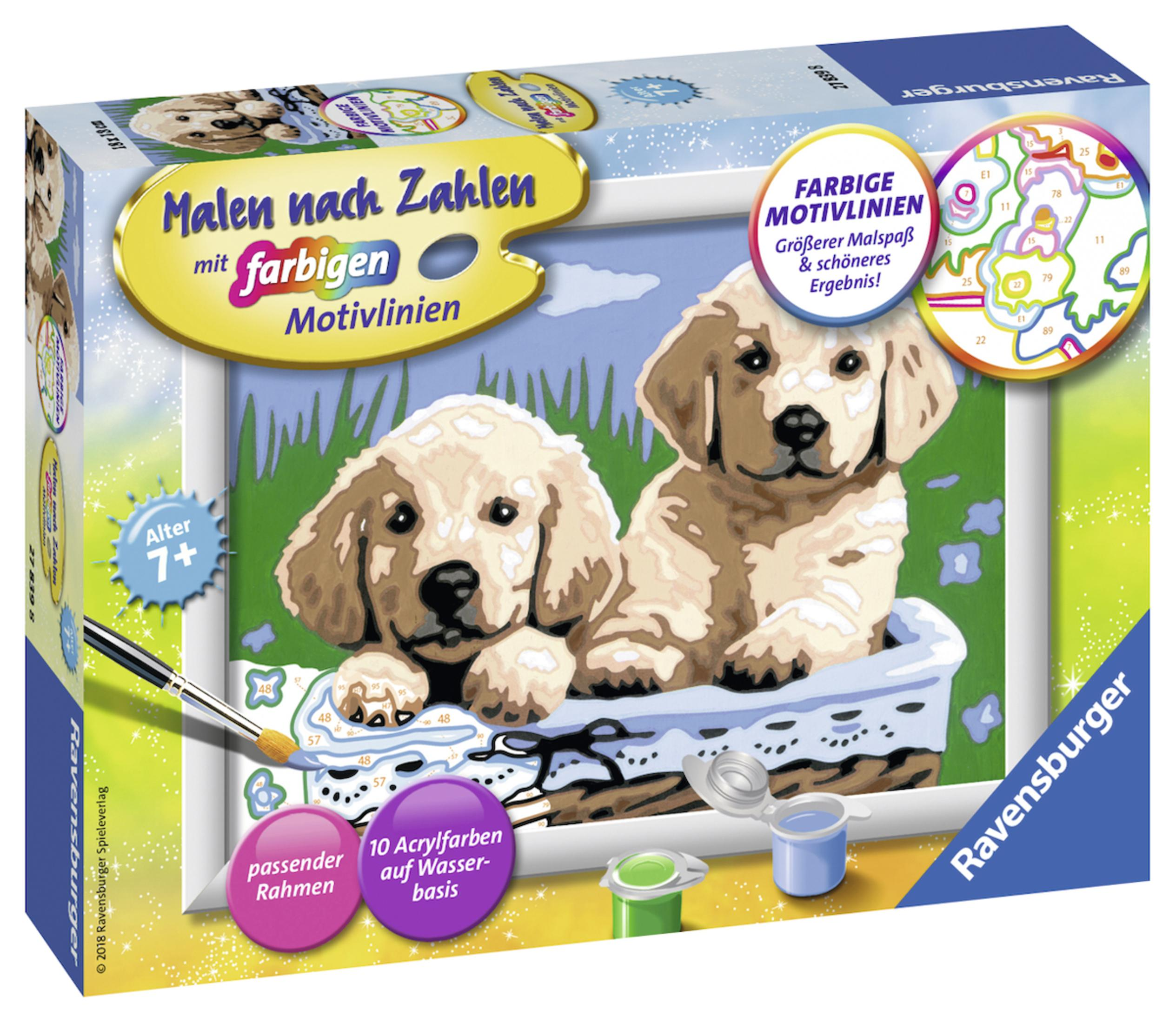 Eine Ravensburger Malen nach Zahlen Schachtel mit zwei Golden Retriever Welpen.