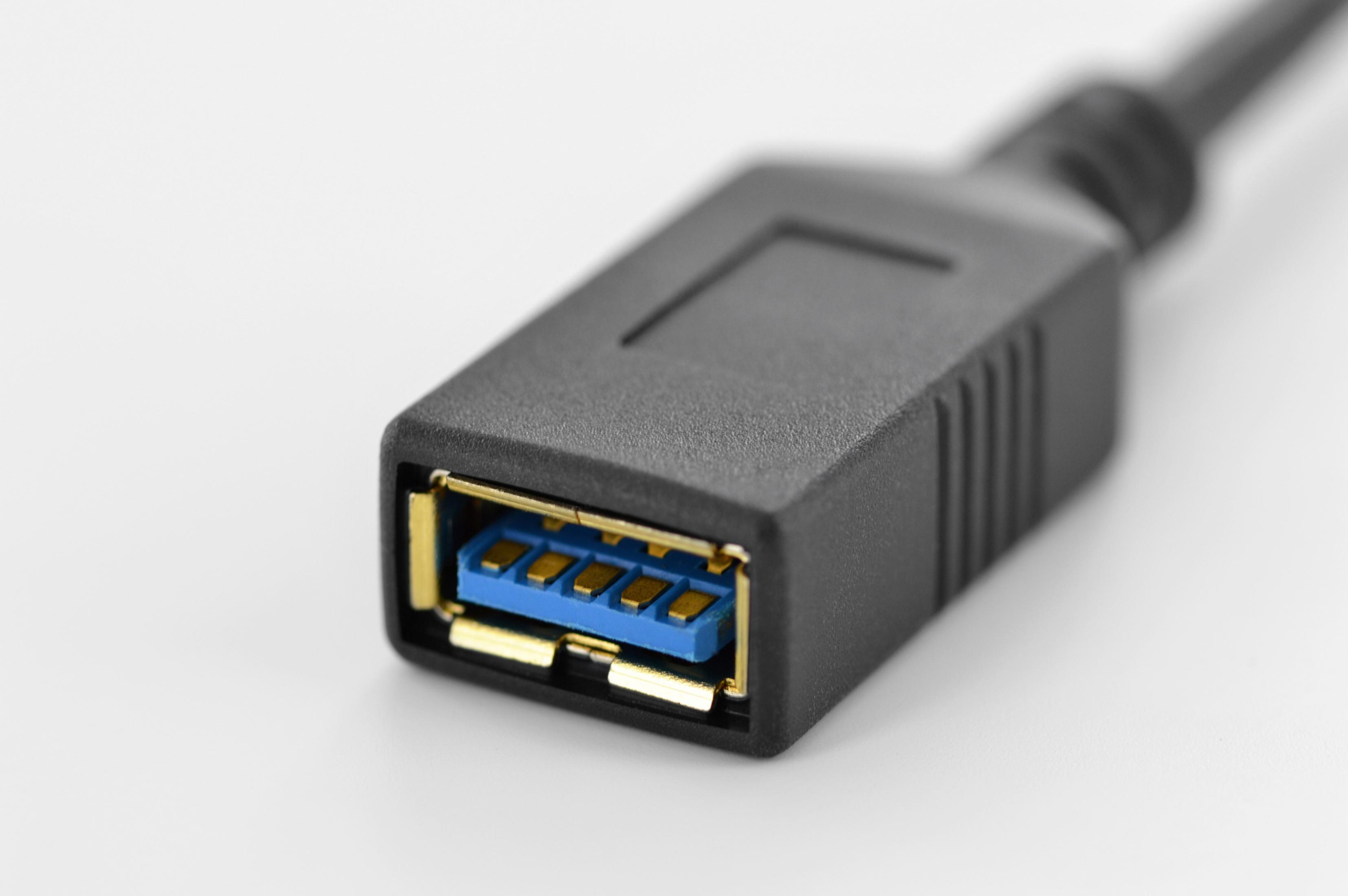 Nahaufnahme eines schwarzen USB-A-Steckers mit blauem Einsatz auf weißem Hintergrund.