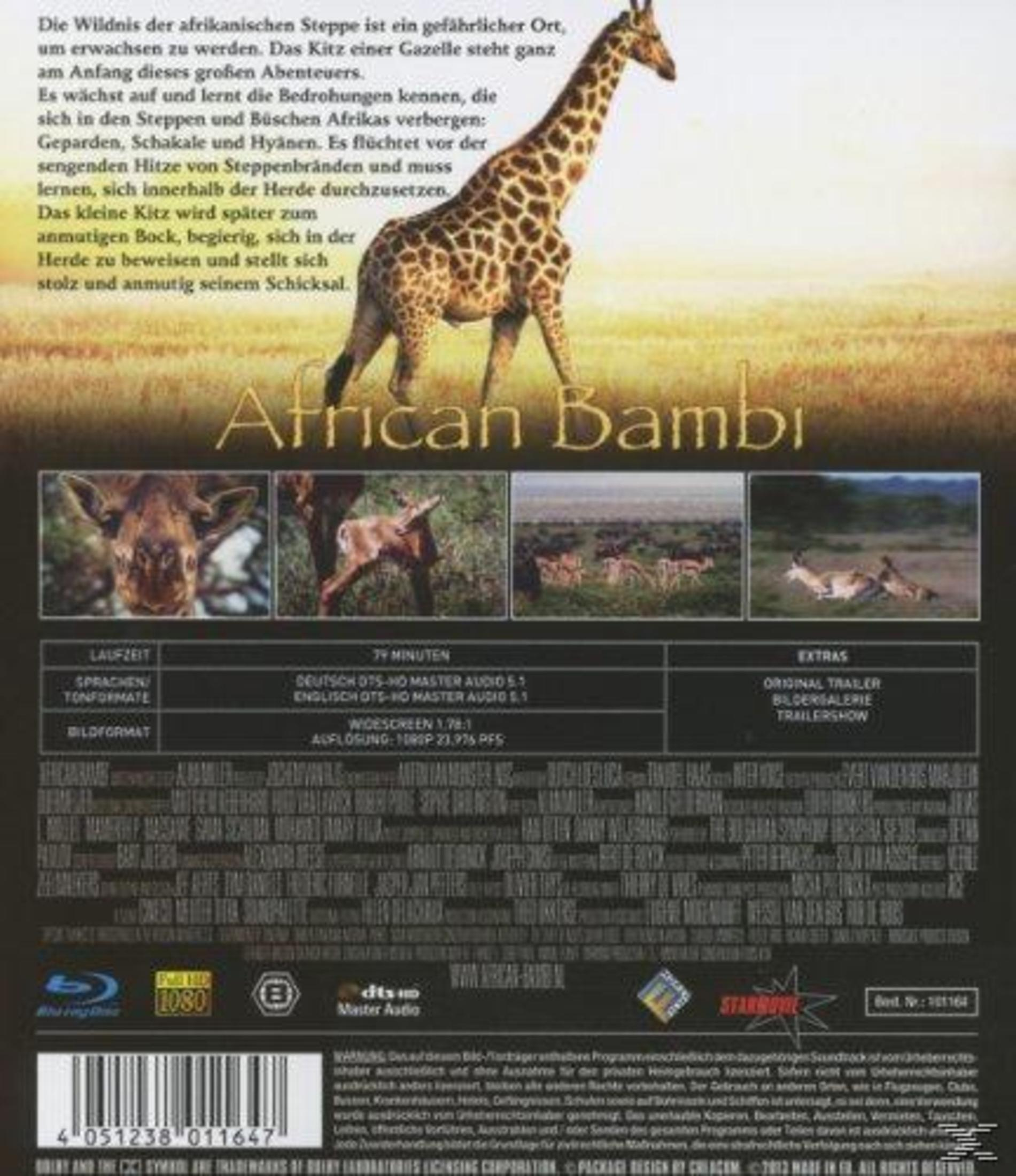 Die Rückseite der "African Bambi" Blu-ray zeigt Text und Bilder von Tieren.