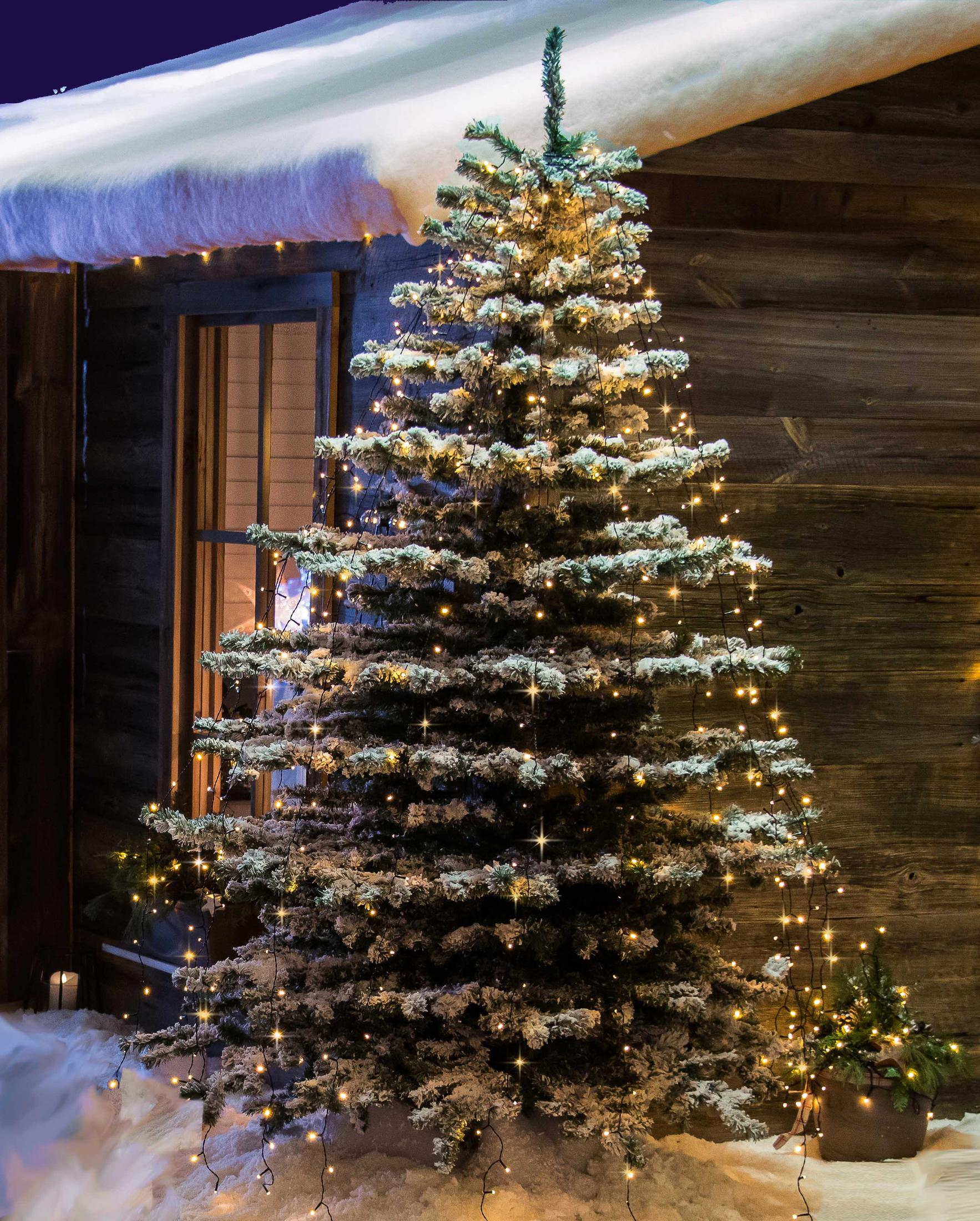 Ein verschneiter Weihnachtsbaum mit Lichtern vor einem Holzgebäude. Rechts steht ein kleiner Baum.